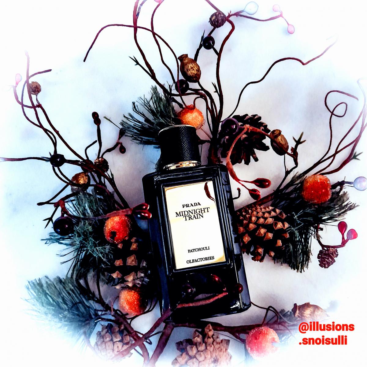 عطر ادکلن میرجز میدنایت ترین پرادا - Mirages Midnight Train Prada - بررسی، قیمت و خرید