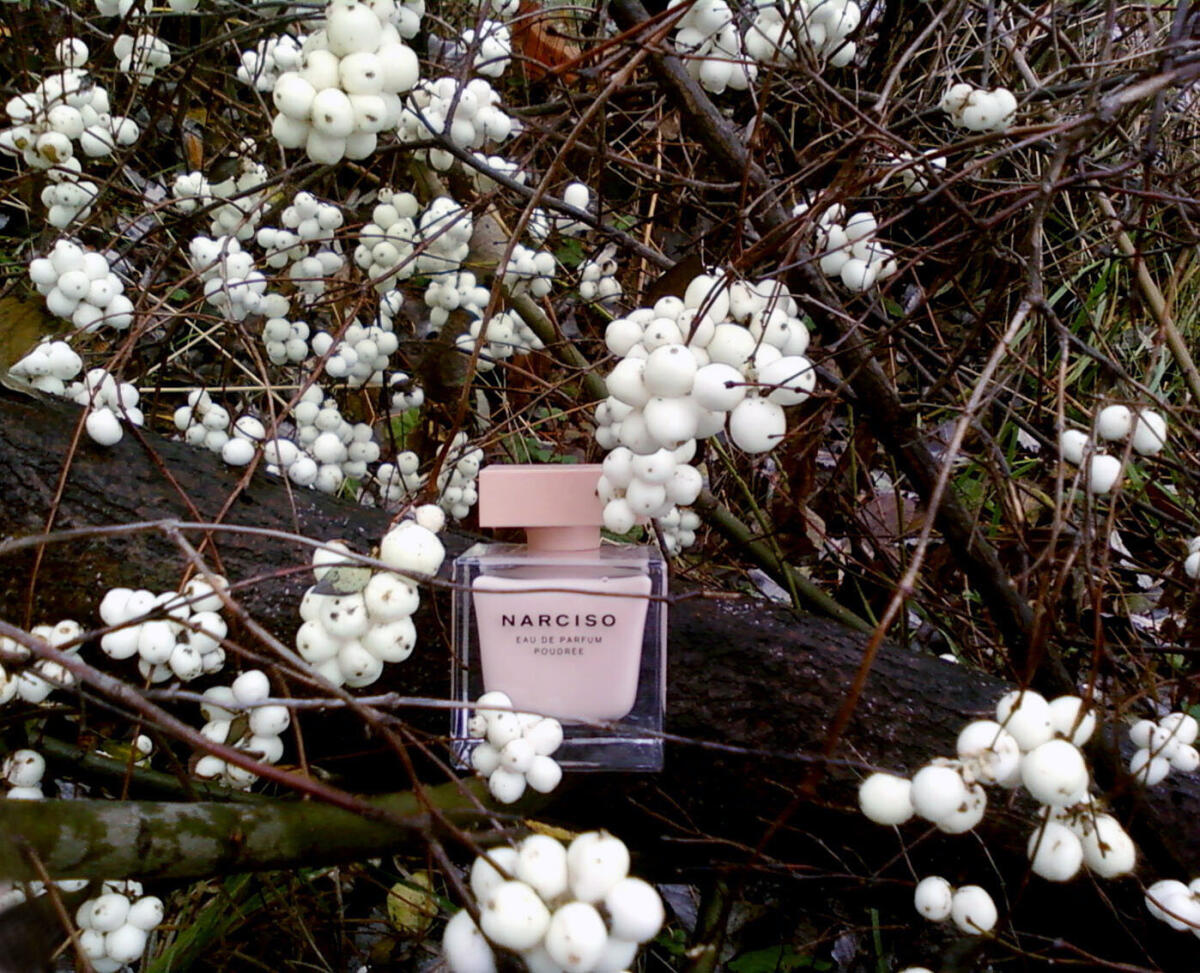 عطر ادکلن نارسیسو پودره نارسیزو رودریگز - Narciso Poudree Narciso Rodriguez - بررسی، قیمت و خرید