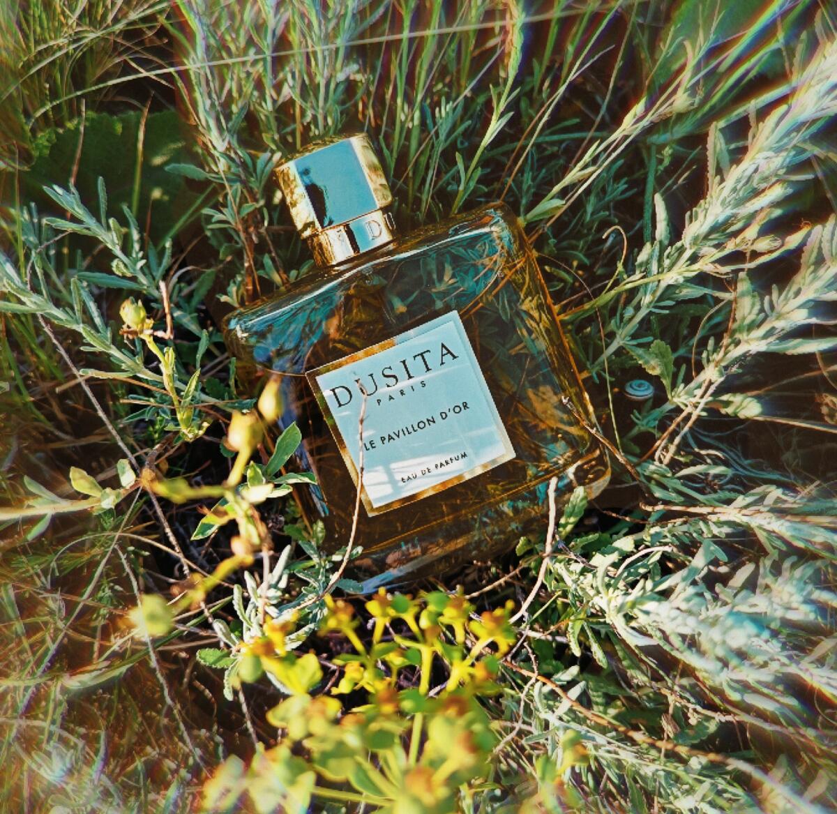 عطر ادکلن لو پاویون دور پرفیومز دوسیتا - Le Pavillon D'Or Parfums Dusita - بررسی، قیمت و خرید
