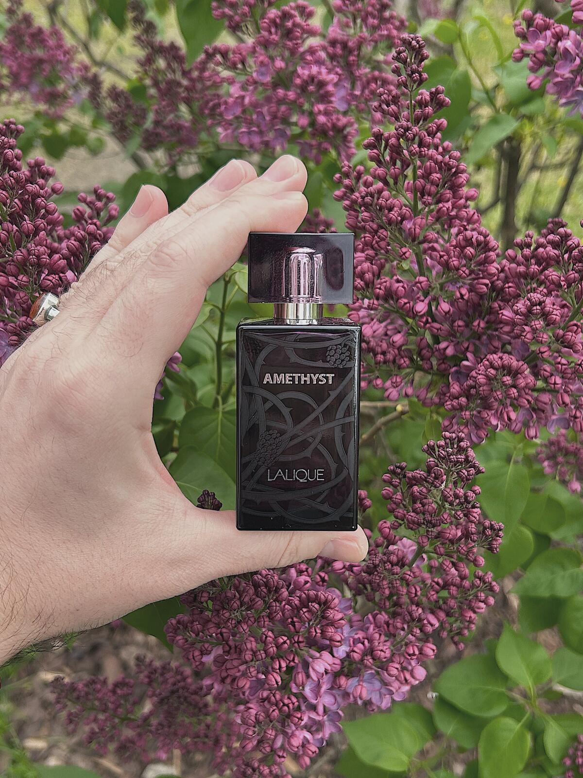 عطر ادکلن آمتیست لالیک - Amethyst Lalique - بررسی، قیمت و خرید