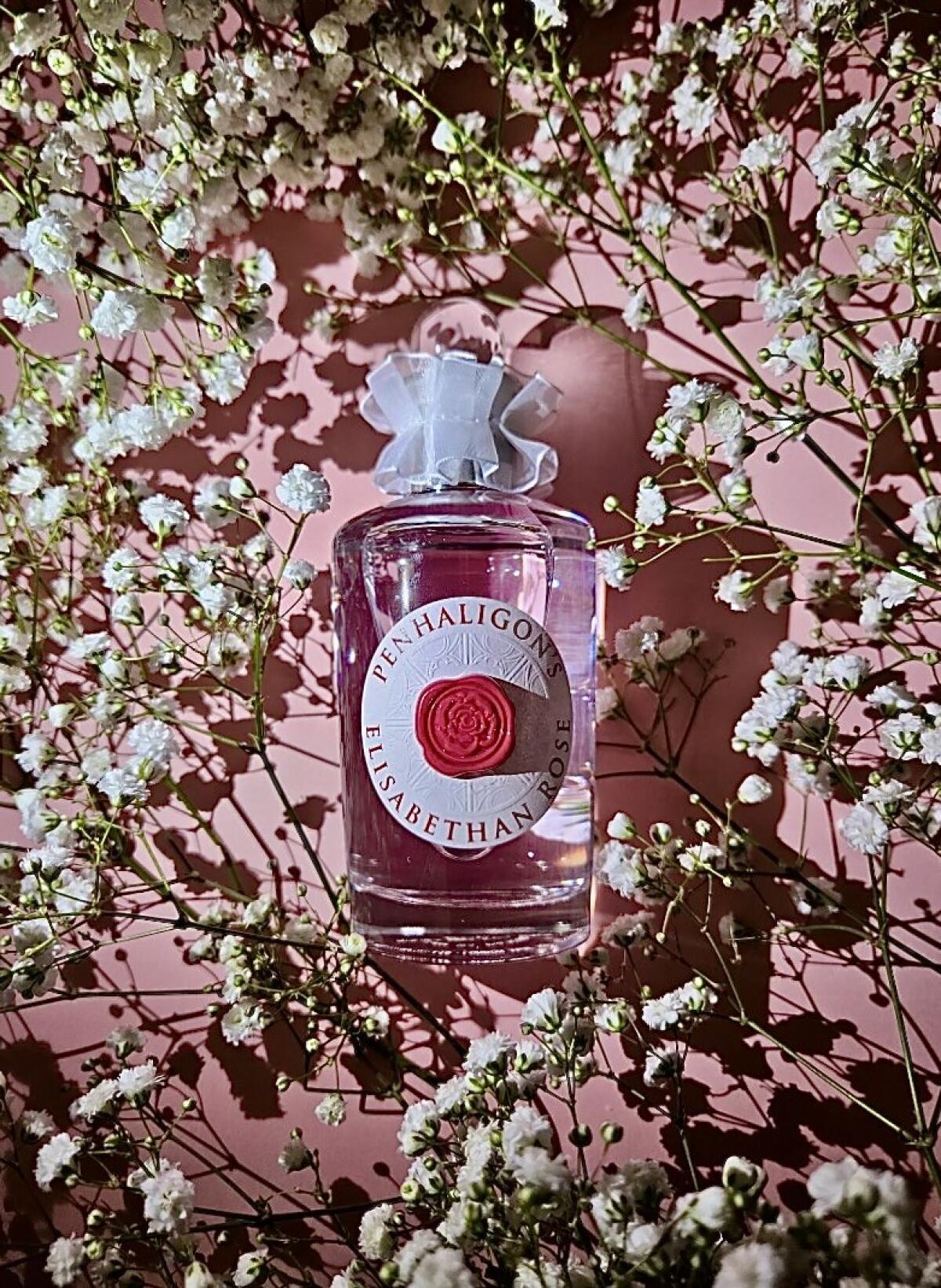 عطر ادکلن الیزابتن رز پنالیگونز - Elisabethan Rose Penhaligon's - بررسی، قیمت و خرید