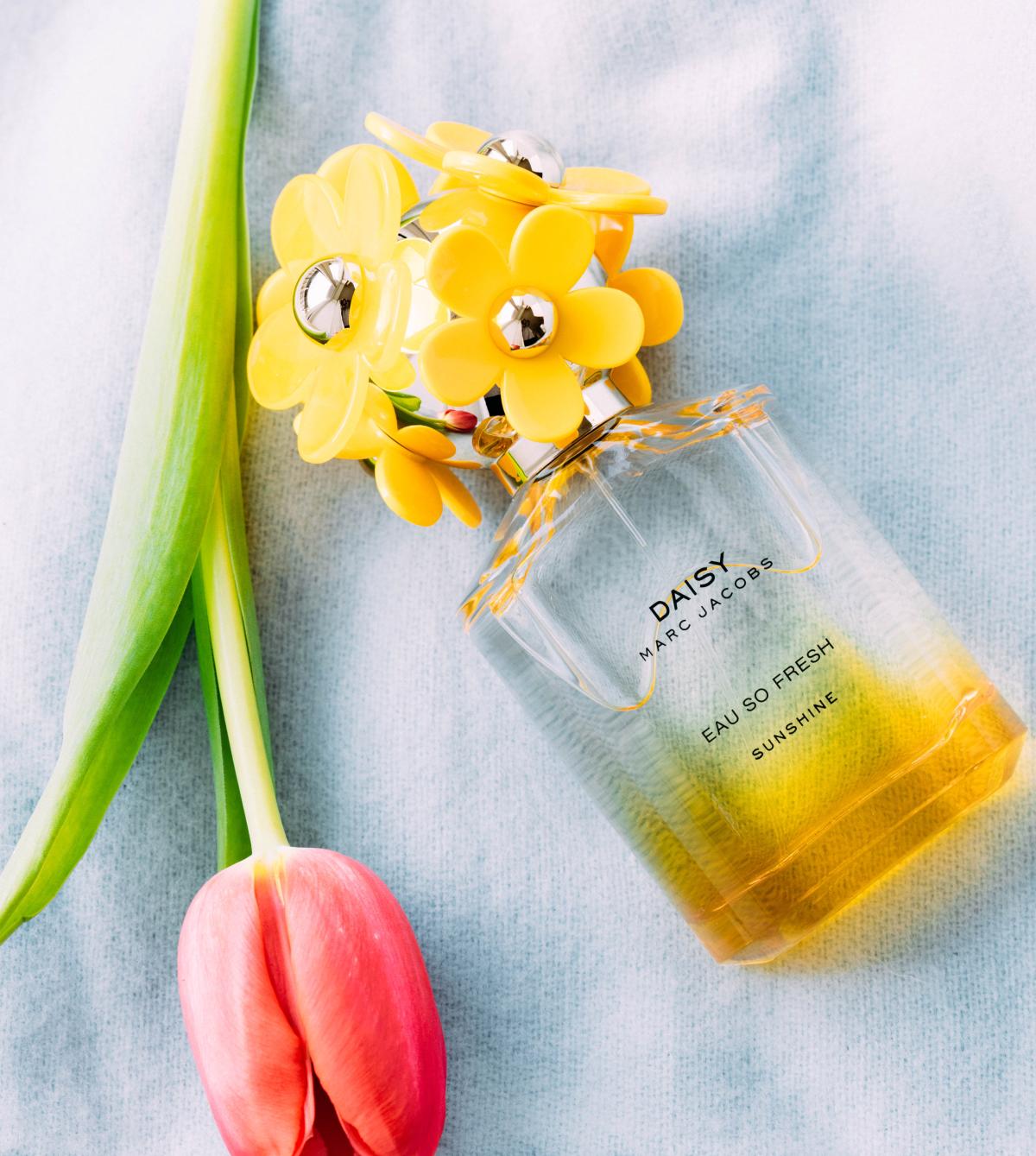 عطر ادکلن دیزی سانشاین مارک جاکوبز - Daisy Sunshine Marc Jacobs - بررسی، قیمت و خرید