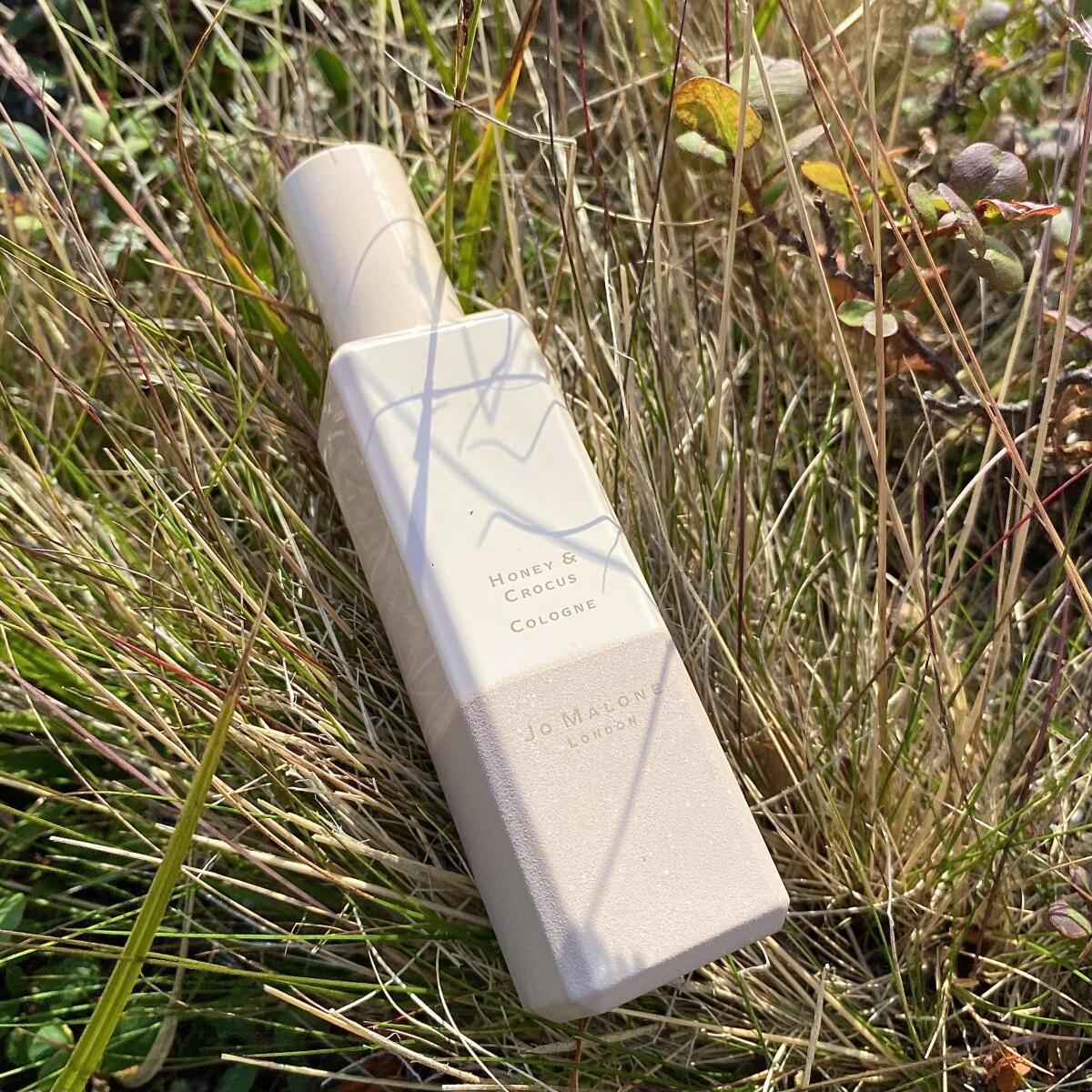 عطر ادکلن هانی اند کروکوس جو ملون لندن - Honey & Crocus Jo Malone London - بررسی، قیمت و خرید