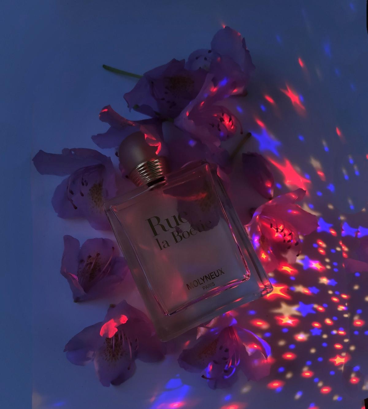 عطر ادکلن رو لابوتی مولنیو - Rue la Boetie Molyneux - بررسی، قیمت و خرید