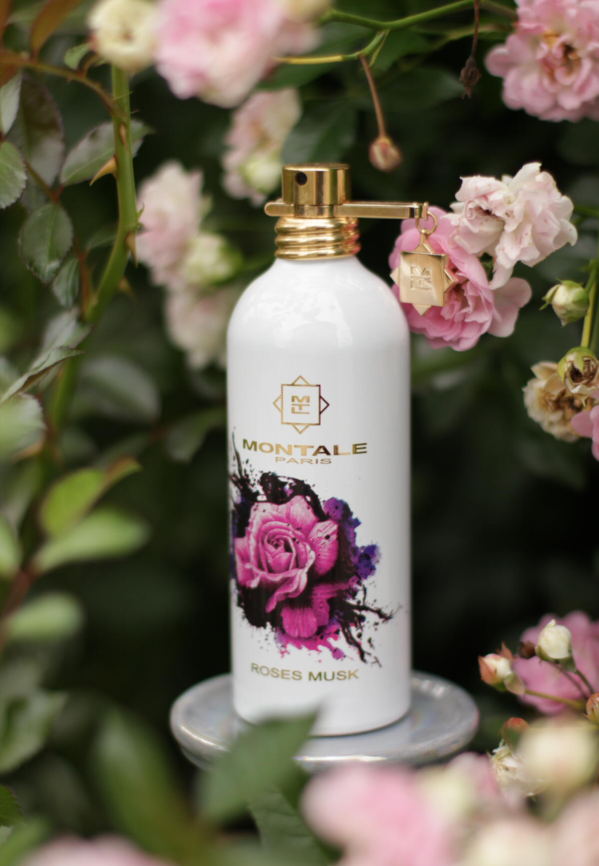 عطر ادکلن رزز ماسک لیمیتد ادیشن مونتال - Roses Musk Limited Edition Montale - بررسی، قیمت و خرید