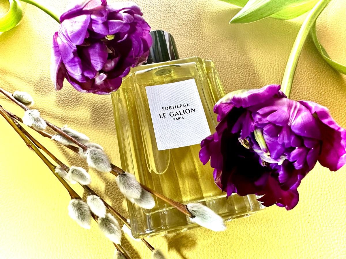 عطر ادکلن سورتیلژ لو گالیون - Sortilege (2022) Le Galion - بررسی، قیمت و خرید