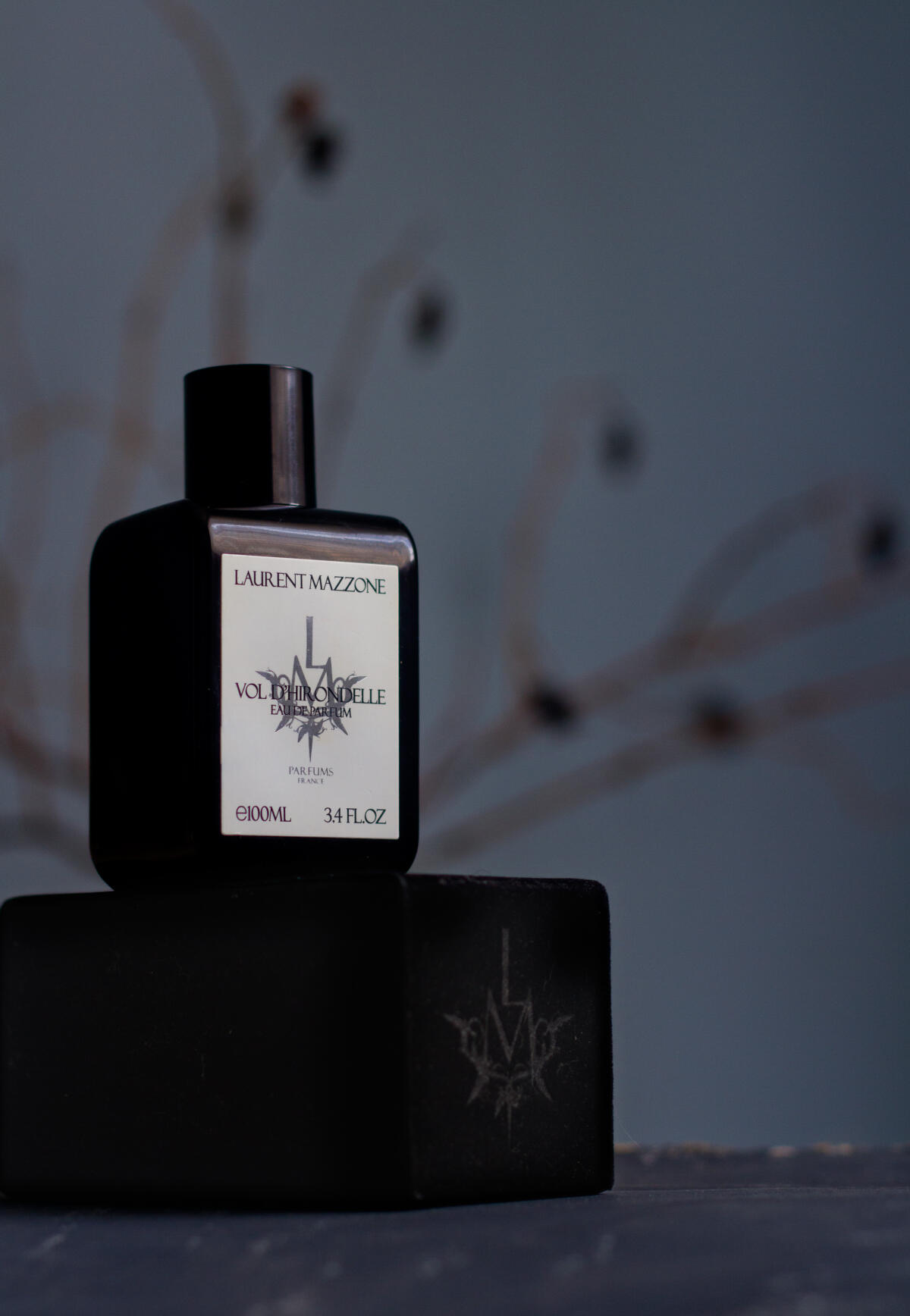 عطر ادکلن ولد هیروندل لوران مازون پرفیوم - Vol d'Hirondelle Laurent Mazzone Parfums - بررسی، قیمت و خرید