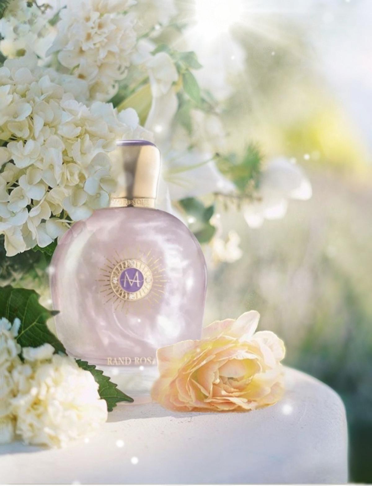 عطر ادکلن رند روز مورِسک - Rand Rose Moresque - بررسی، قیمت و خرید