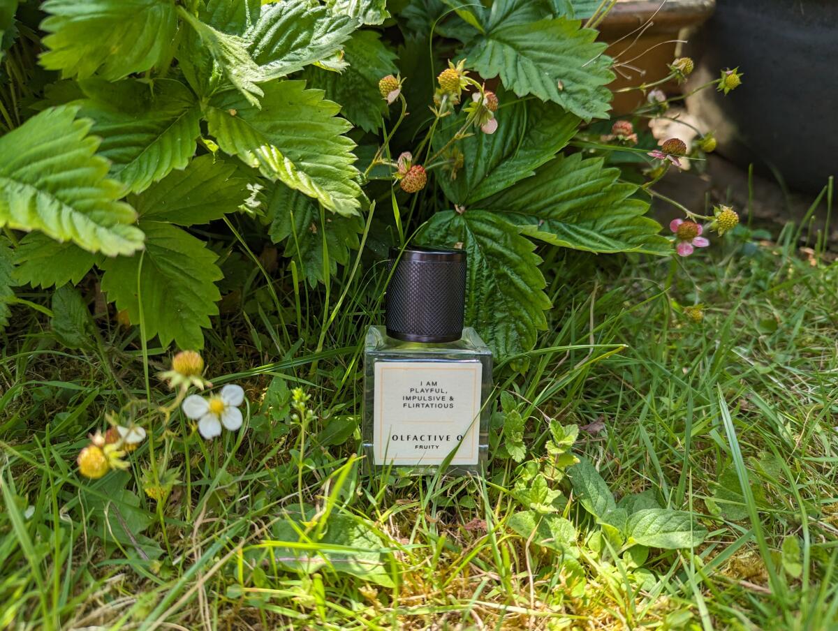 عطر ادکلن فروتی اولفکتیو او - Fruity Olfactive O - بررسی، قیمت و خرید