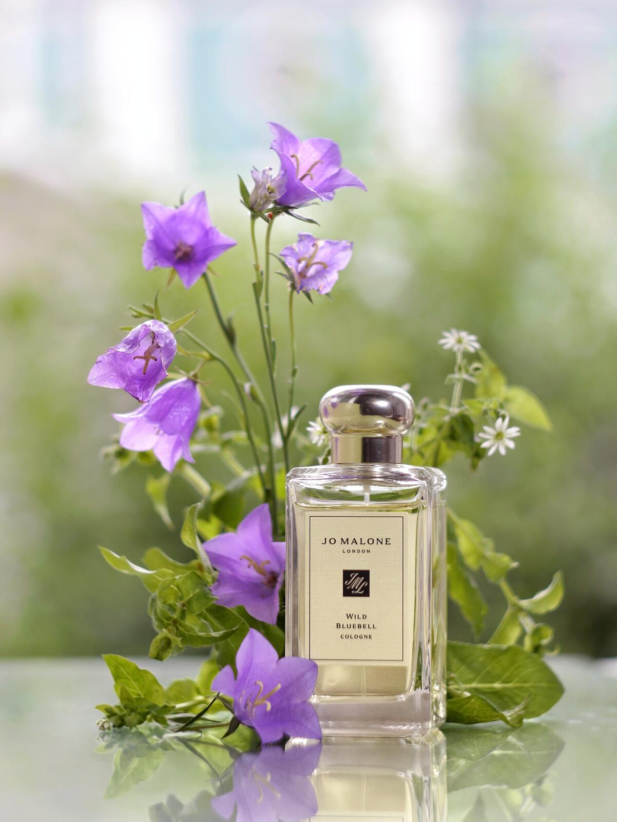 عطر ادکلن وایلد بلوبل جو مالون لاندن - Wild Bluebell Jo Malone London - بررسی، قیمت و خرید