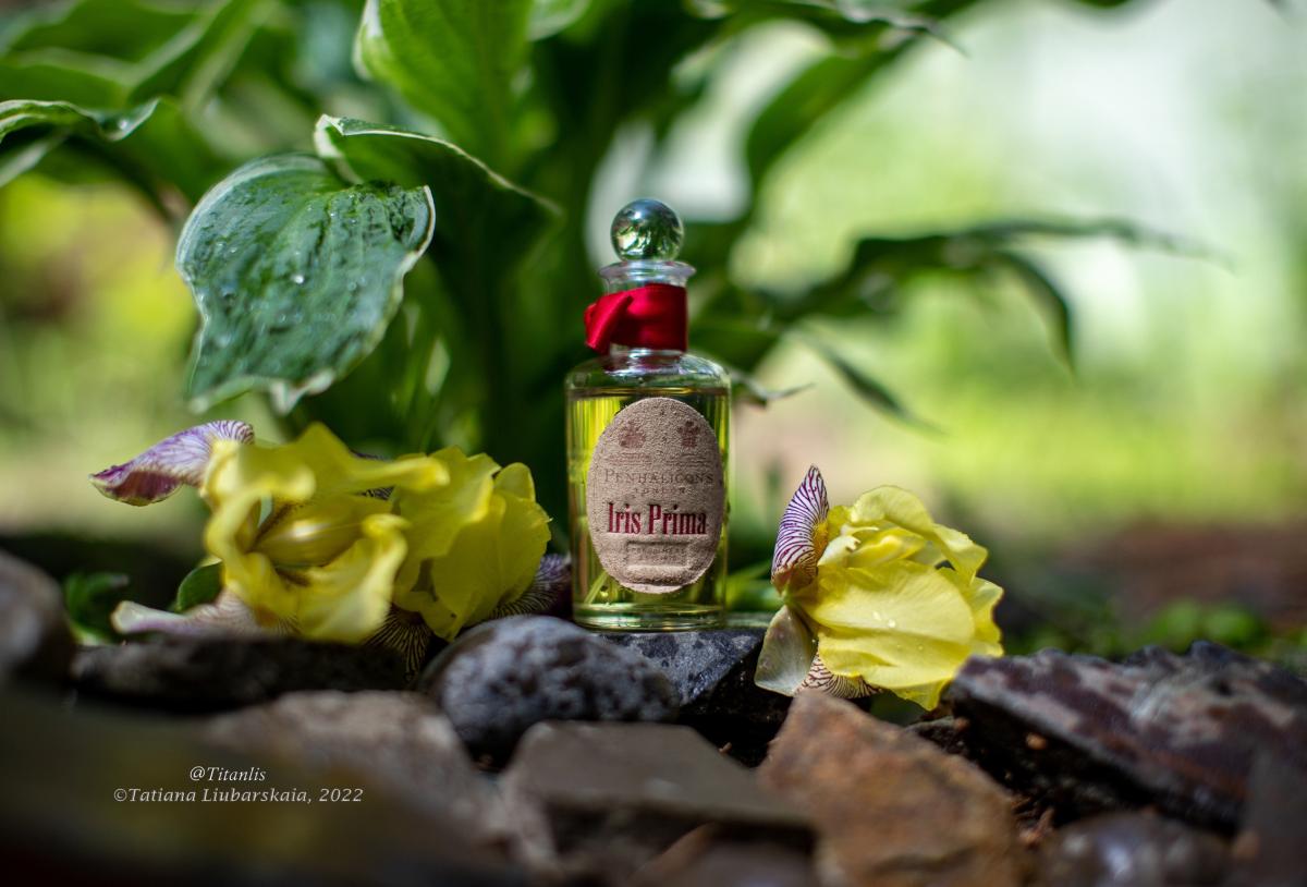 عطر ادکلن آیریس پریما پنهالیگنز - Iris Prima Penhaligon's - بررسی، قیمت و خرید