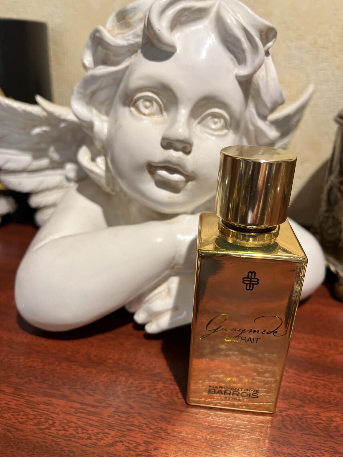 عطر ادکلن گنیمید اکستریت مارک-آنتوان باروآ - Ganymede Extrait Marc-Antoine Barrois - بررسی، قیمت و خرید