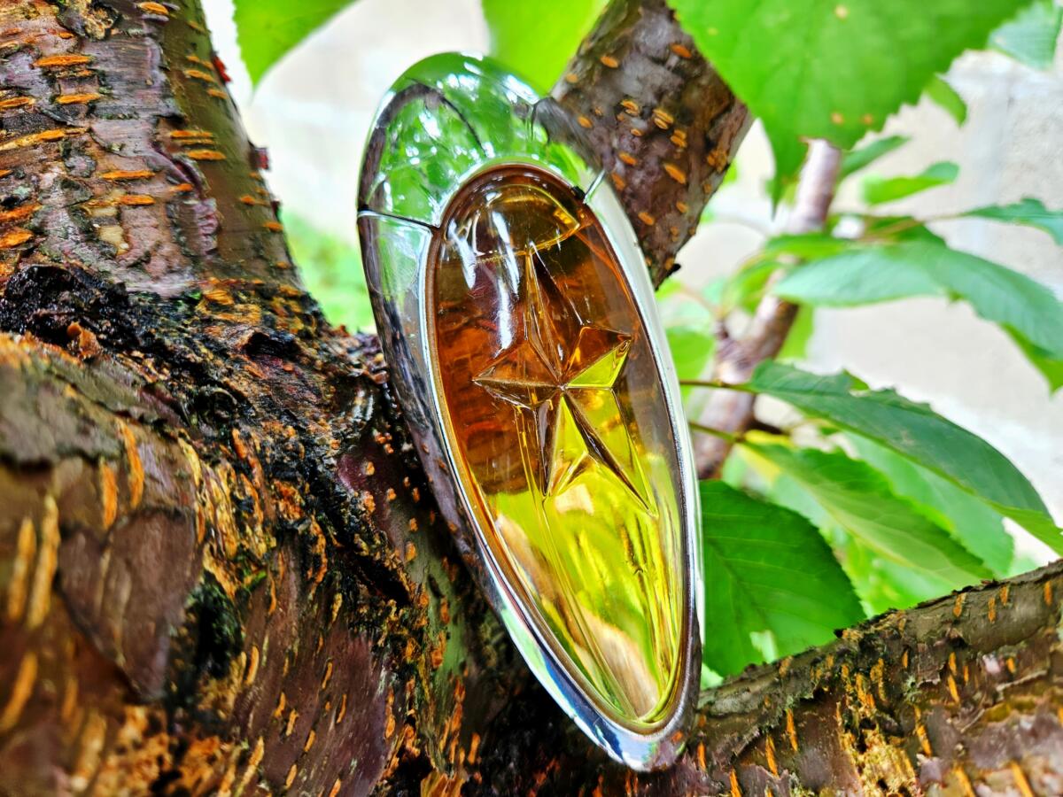 عطر ادکلن اِنجِل میوز موگلر - Angel Muse Mugler - بررسی، قیمت و خرید