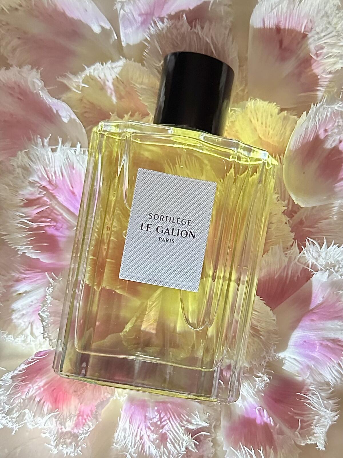 عطر ادکلن سورتیلژ لو گالیون - Sortilege (2022) Le Galion - بررسی، قیمت و خرید