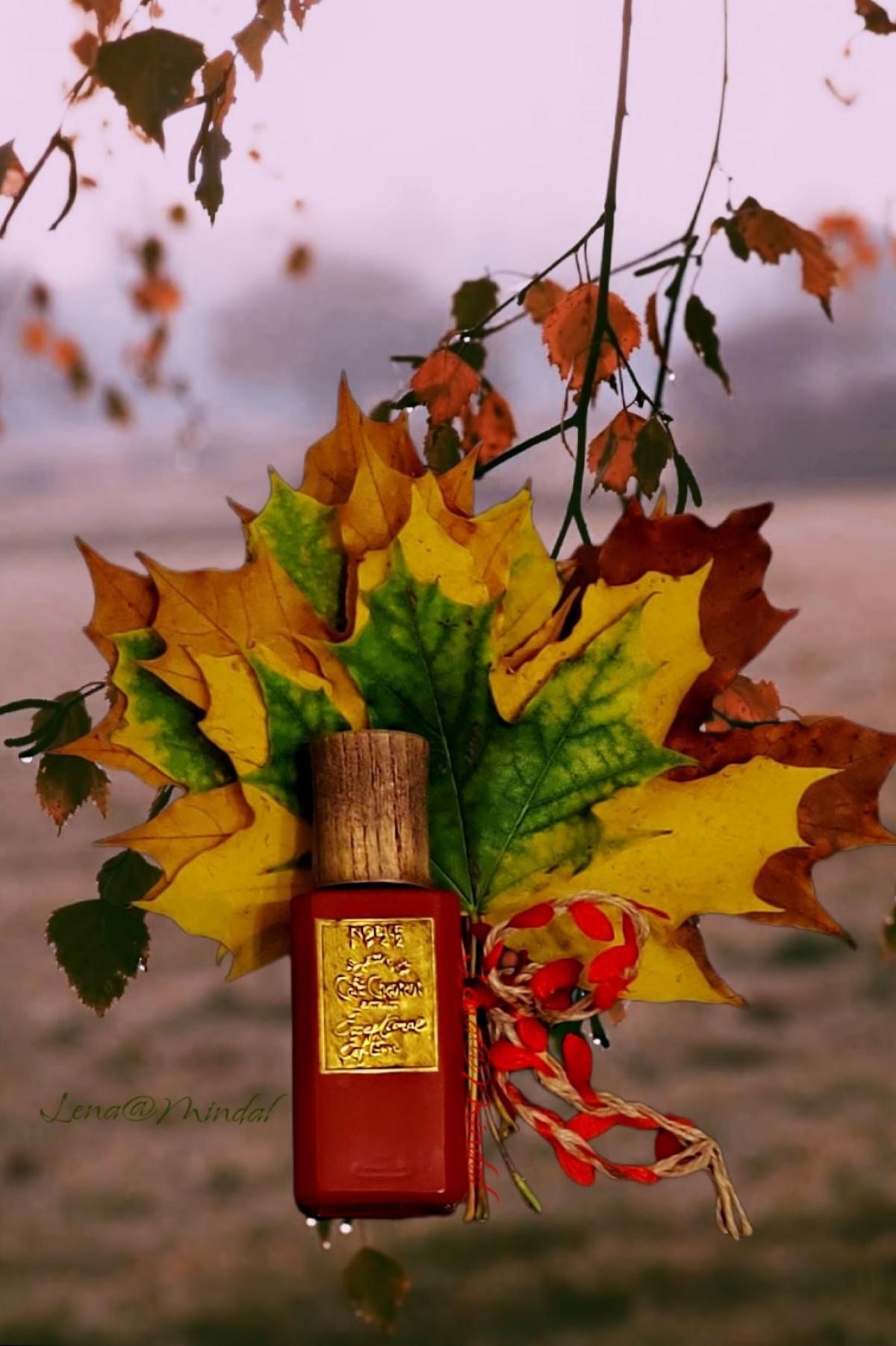 عطر ادکلن کافه شانتا استثنائی نوبیل ۱۹۴۲ - Café Chantant Exceptional Edition Nobile 1942 - بررسی، قیمت و خرید