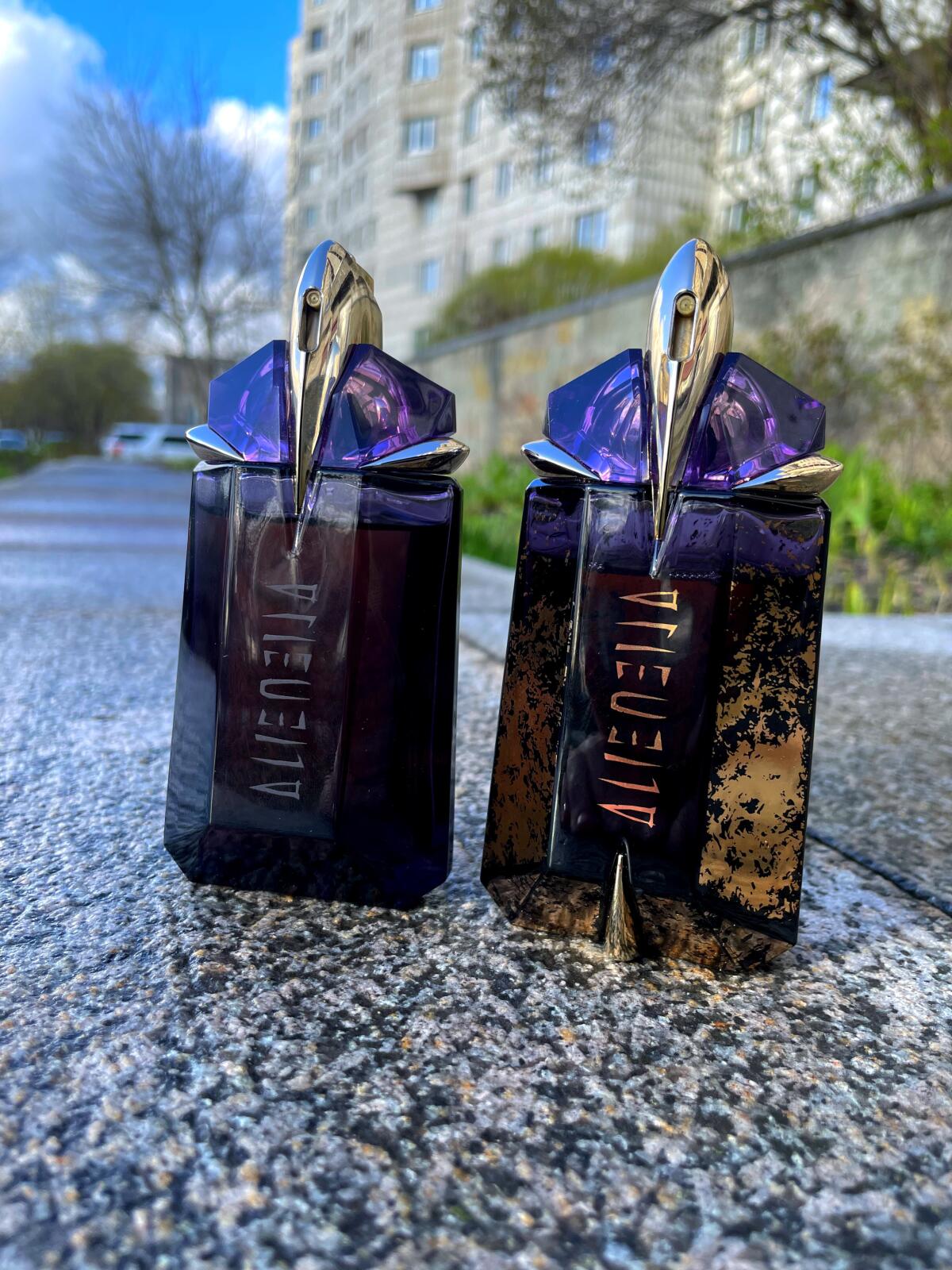 عطر ادکلن «اِیلیِن دیوایْن اُرنِمِنتِیشِنز» موگلر - Alien Divine Ornamentations Mugler - بررسی، قیمت و خرید