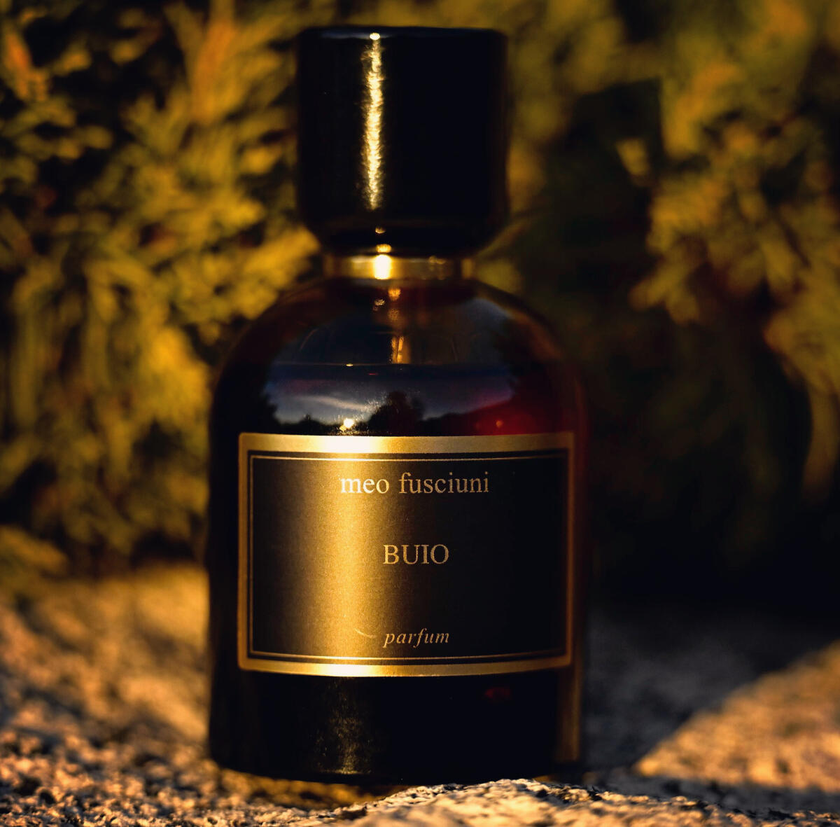 عطر ادکلن بویو میو فوشیونی - Buio Meo Fusciuni - بررسی، قیمت و خرید