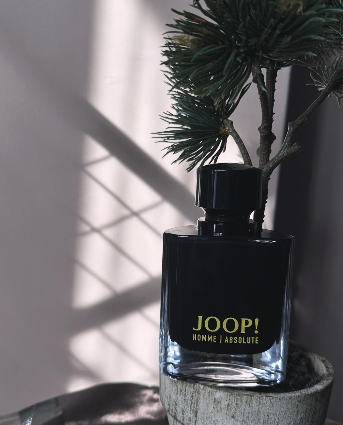 عطر ادکلن جوپ عُم اَبسُلوت جوپ - JOOP! Homme Absolute Joop! - بررسی، قیمت و خرید