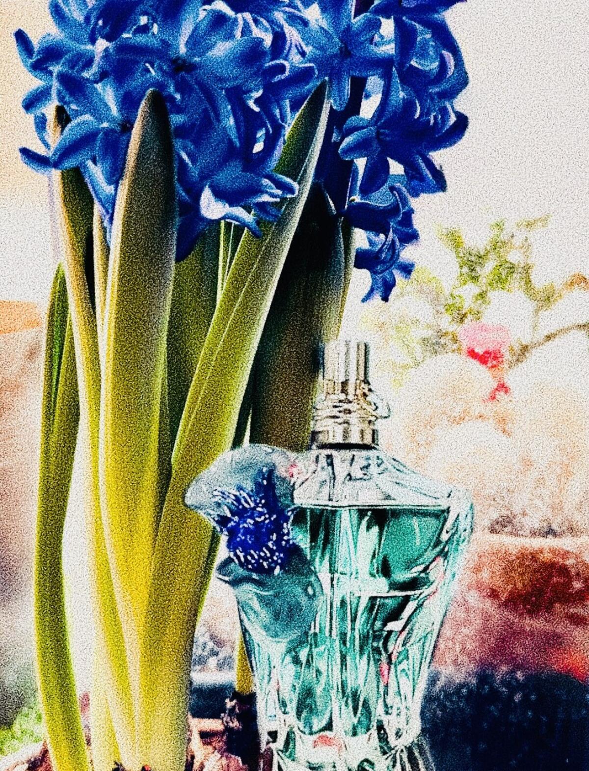 عطر ادکلن له بو فلاور ایدیشن ژان پل گوتیه - Le Beau Flower Edition Jean Paul Gaultier - بررسی، قیمت و خرید