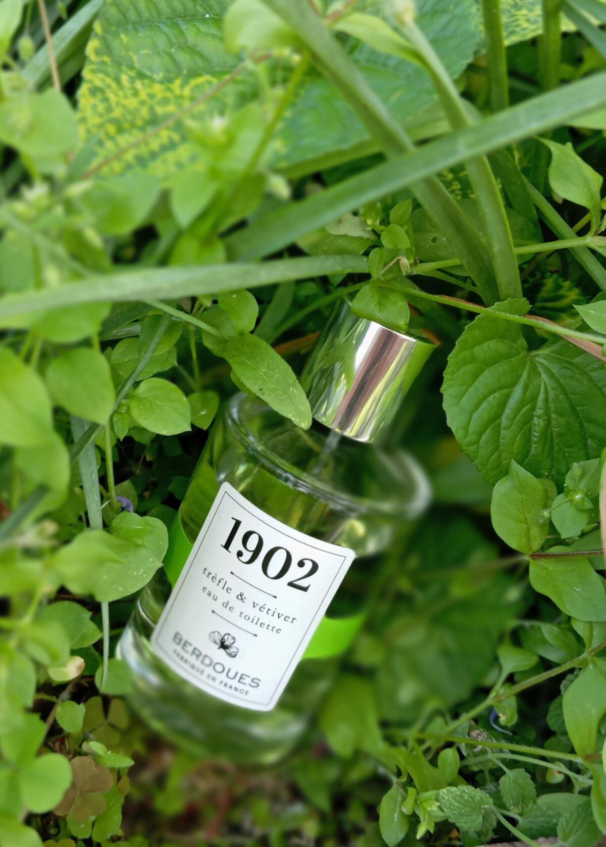عطر ادکلن تریفل و وتیور پارفوم بردو - Trefle & Vetiver Parfums Berdoues - بررسی، قیمت و خرید