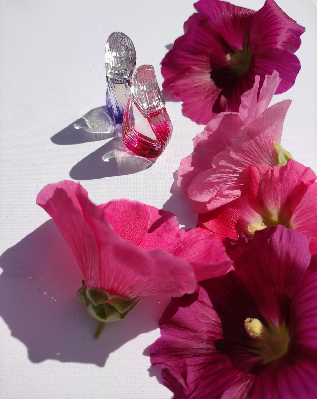 عطر ادکلن مدلی کنزو ادو تویلت کنزو - Madly Kenzo! Eau de Toilette Kenzo - بررسی، قیمت و خرید