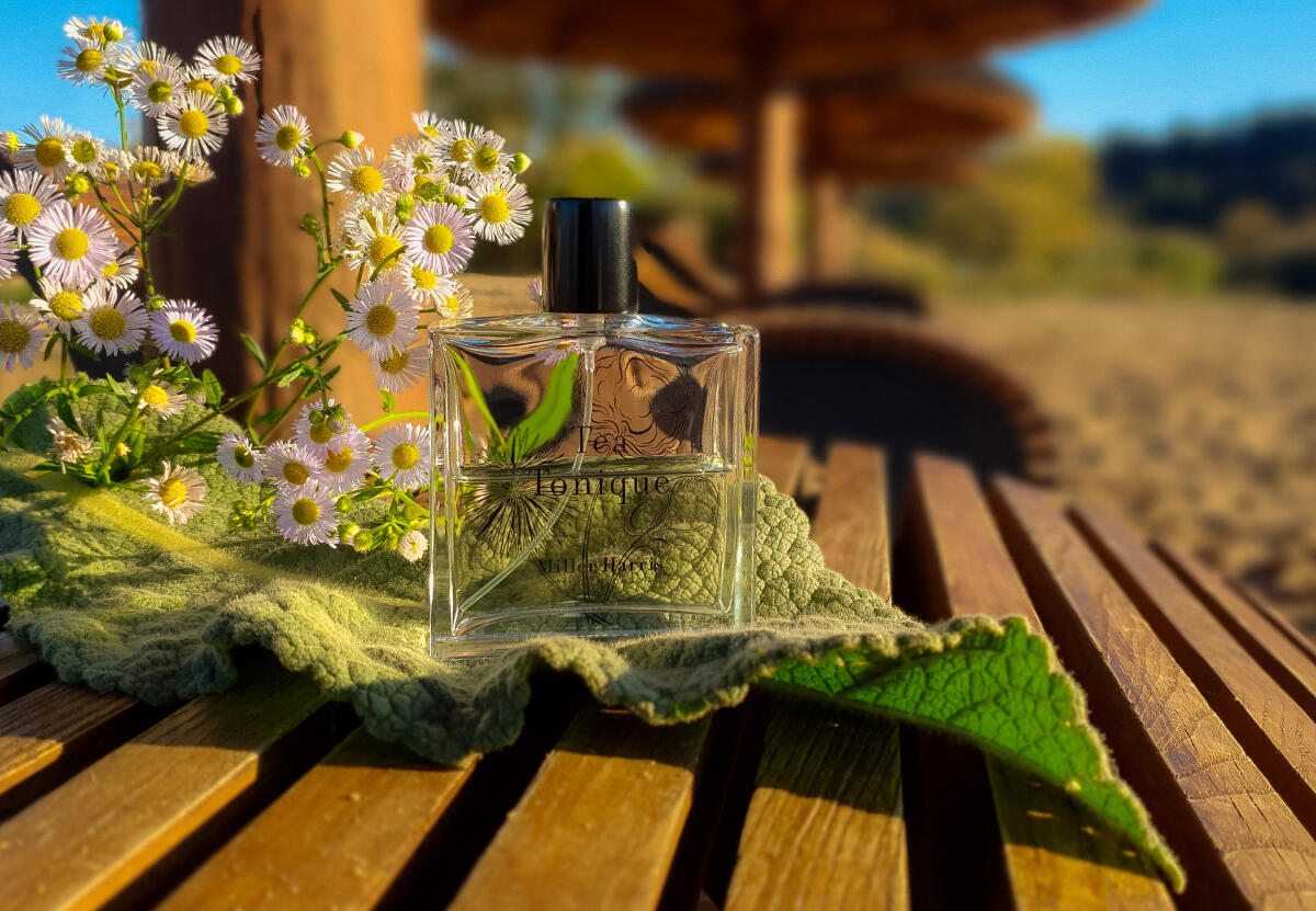عطر ادکلن تی تونیک میلل هریس - Tea Tonique Miller Harris - بررسی، قیمت و خرید
