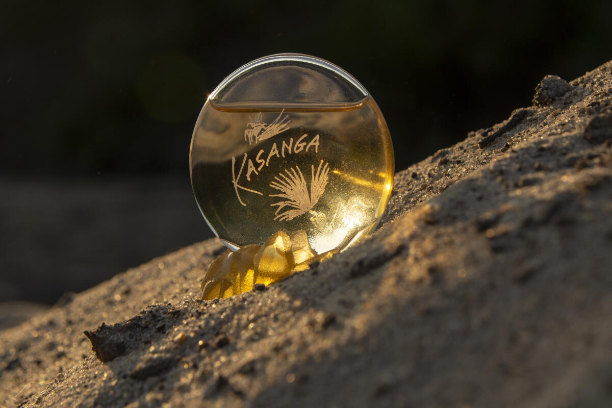 عطر ادکلن کسنگا پکوما - Kasanga Pacoma - بررسی، قیمت و خرید