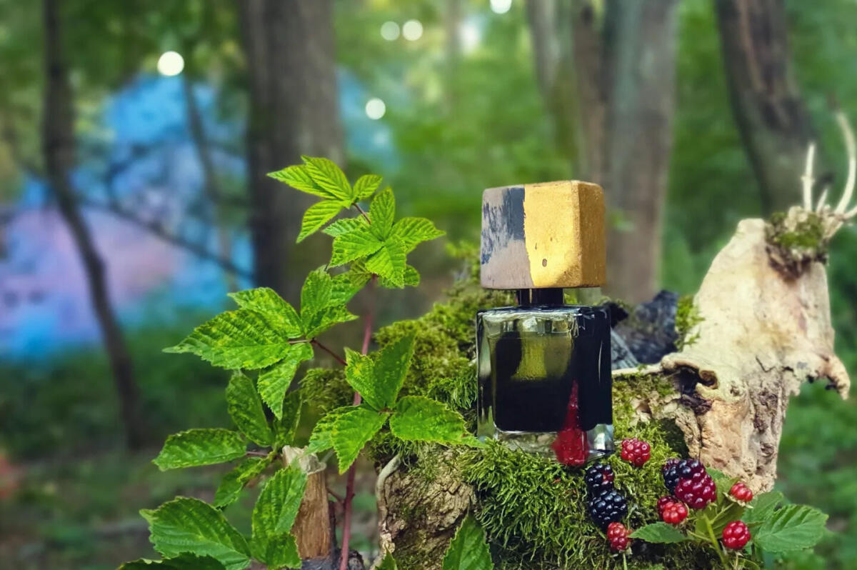 عطر ادکلن فایند می این د دارک ژوسه پرفیومز - Find Me In The Dark Jousset Parfums - بررسی، قیمت و خرید