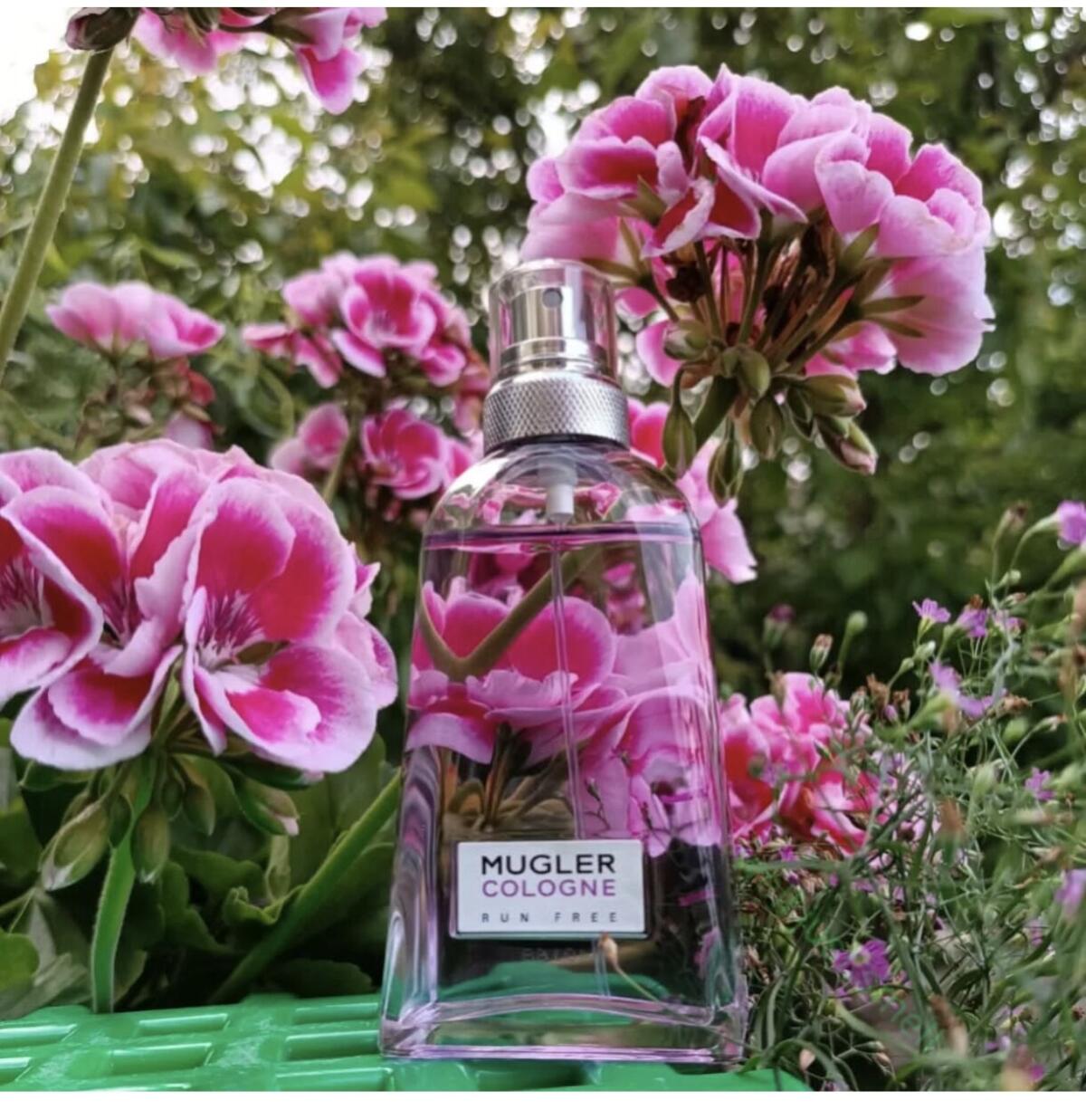 عطر ادکلن موگلر کلون ران فری ماگلر - Mugler Cologne Run Free Mugler - بررسی، قیمت و خرید