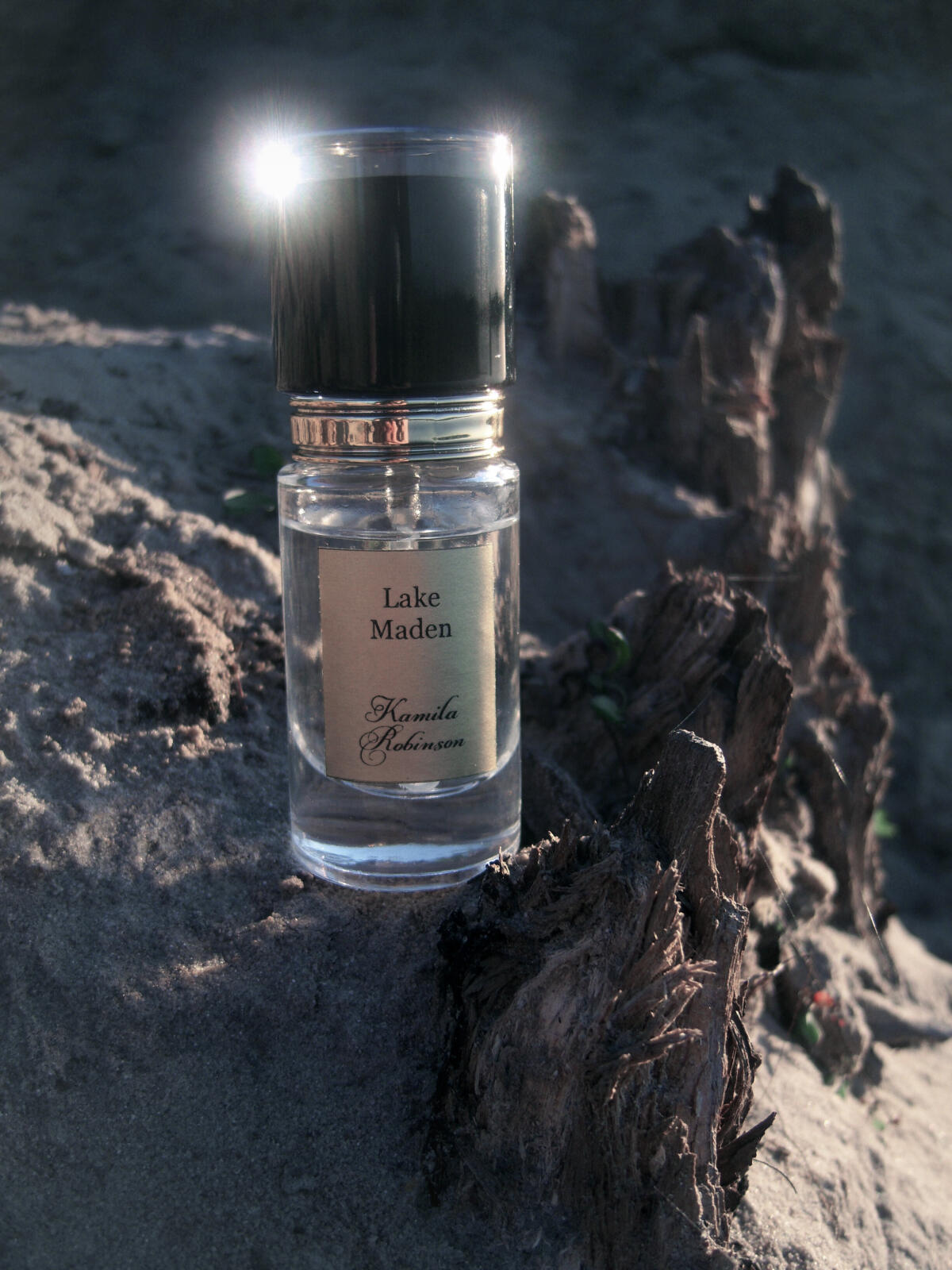 عطر ادکلن لیک مادِن کاملا رابینسون - Lake Maden (Дева Озера) Kamila Robinson - بررسی، قیمت و خرید
