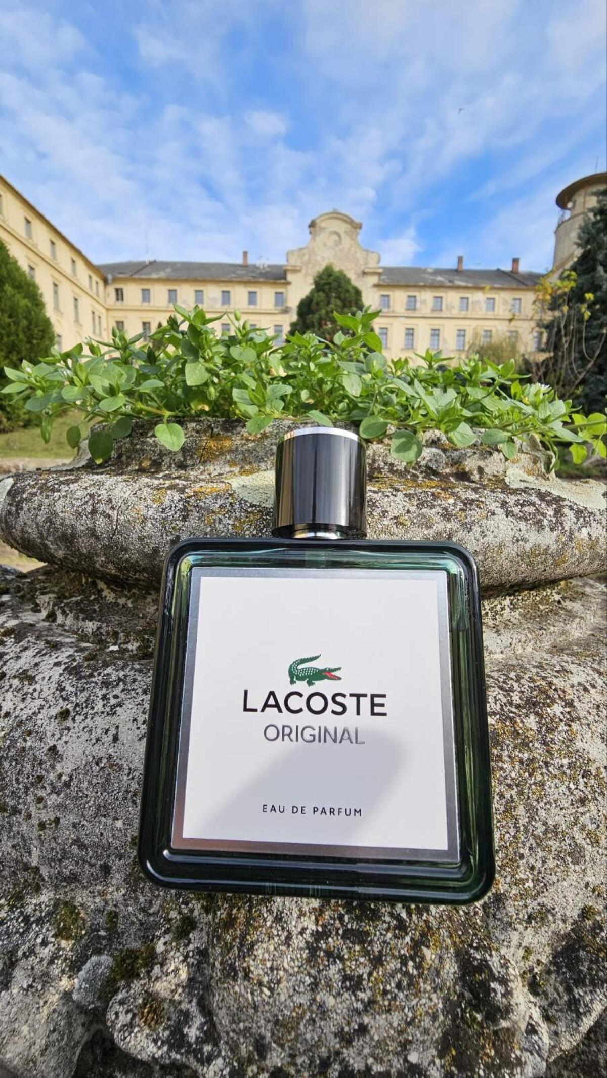 عطر ادکلن لاکست اورجینال لاکست فراگرنسز - Lacoste Original Lacoste Fragrances - بررسی، قیمت و خرید