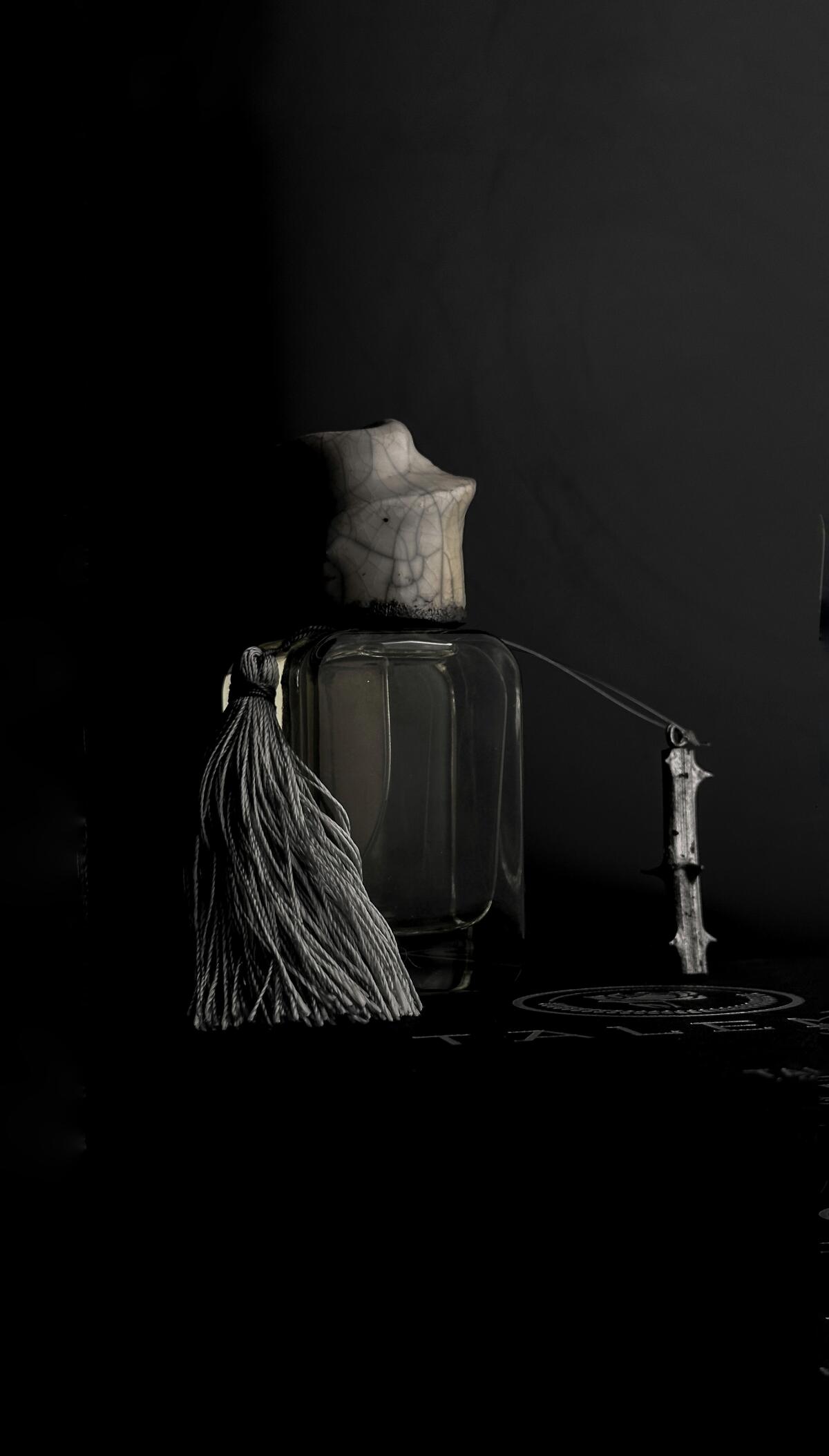 عطر ادکلن تلنتو مندیتوروسا - Talento Mendittorosa - بررسی، قیمت و خرید