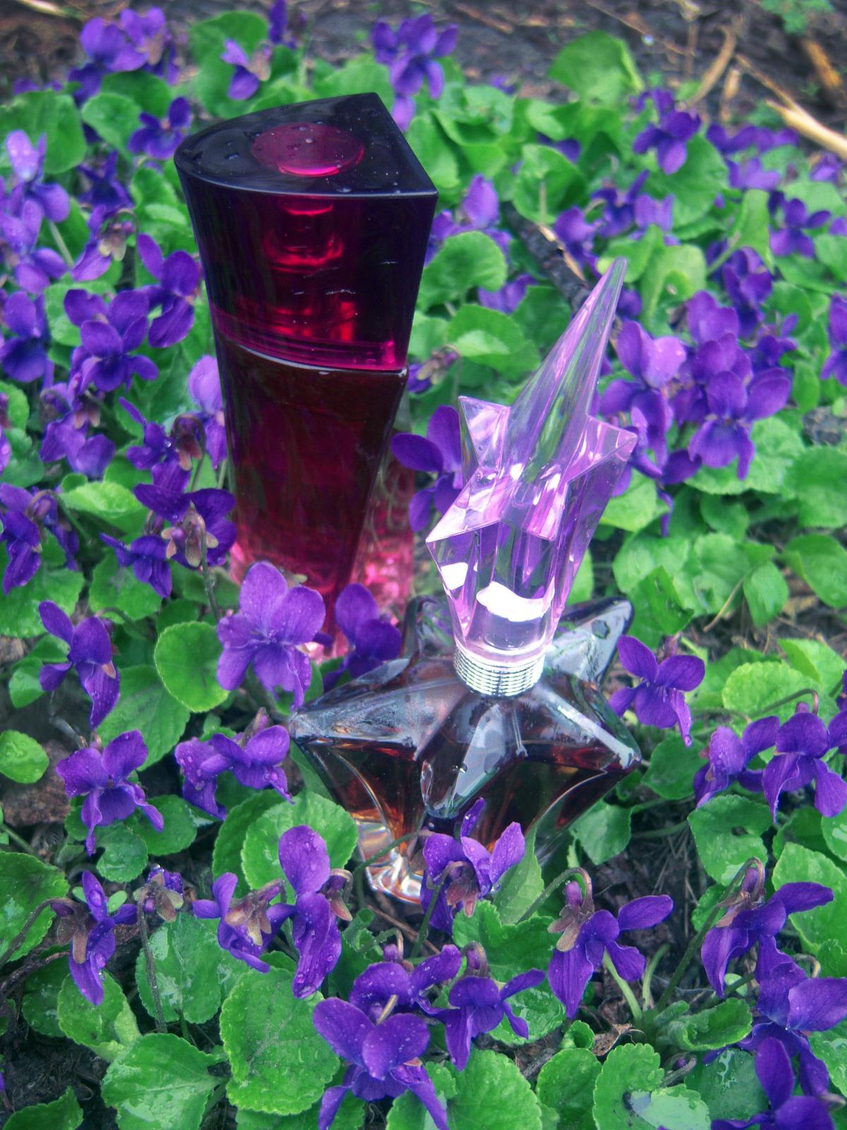 عطر ادکلن اینتنس امبریس هر ا دو تویلت اوریفلیم - Intense Embrace Her Eau de Toilette Oriflame - بررسی، قیمت و خرید