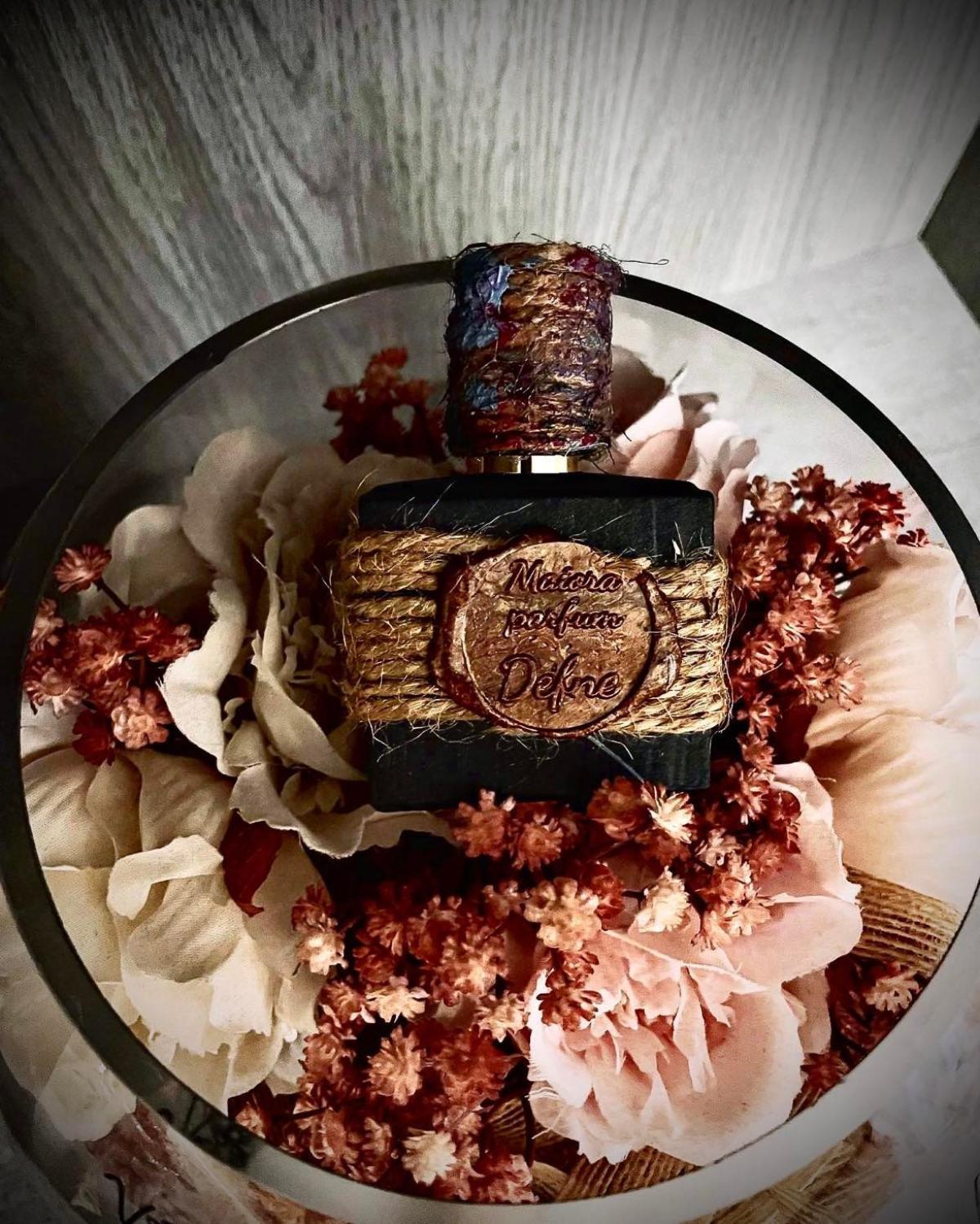 عطر ادکلن دفنه اکسترکت د پارفوم مایورا پرفیوم - Defne Extrait de Parfum Maiora Parfum - بررسی، قیمت و خرید