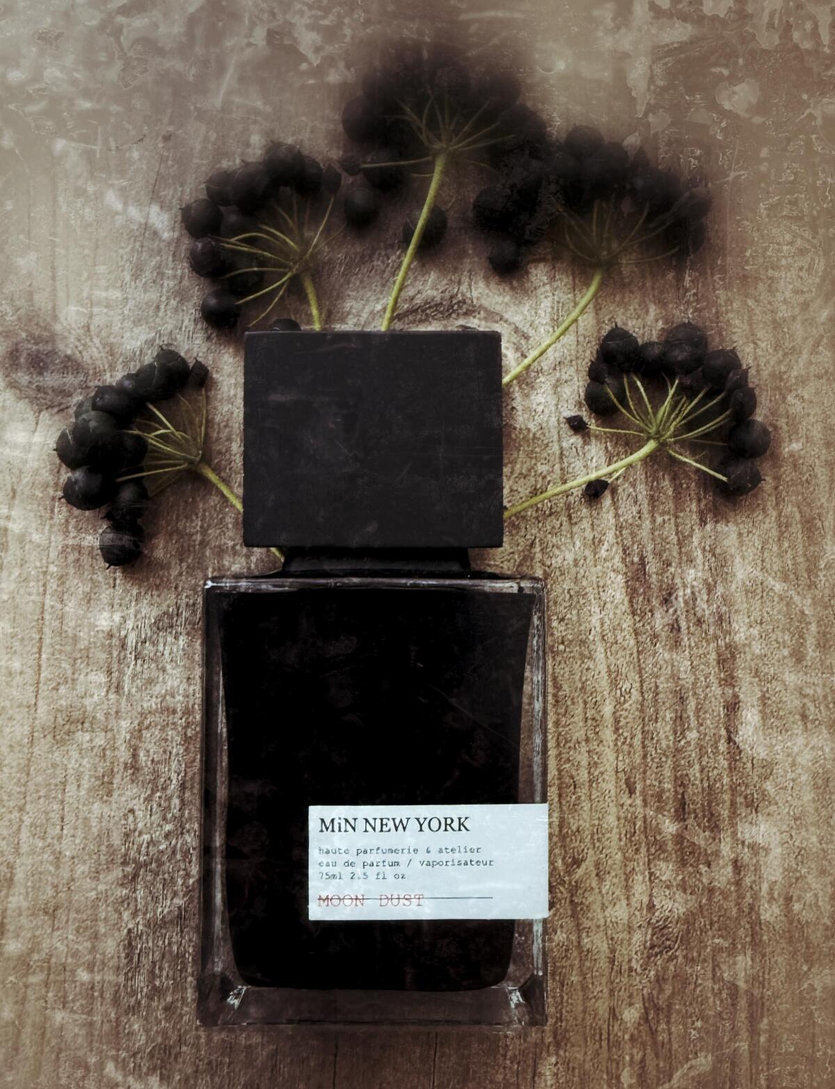 عطر ادکلن مون داست مین نیویورک - MOON DUST MiN NEW YORK - بررسی، قیمت و خرید