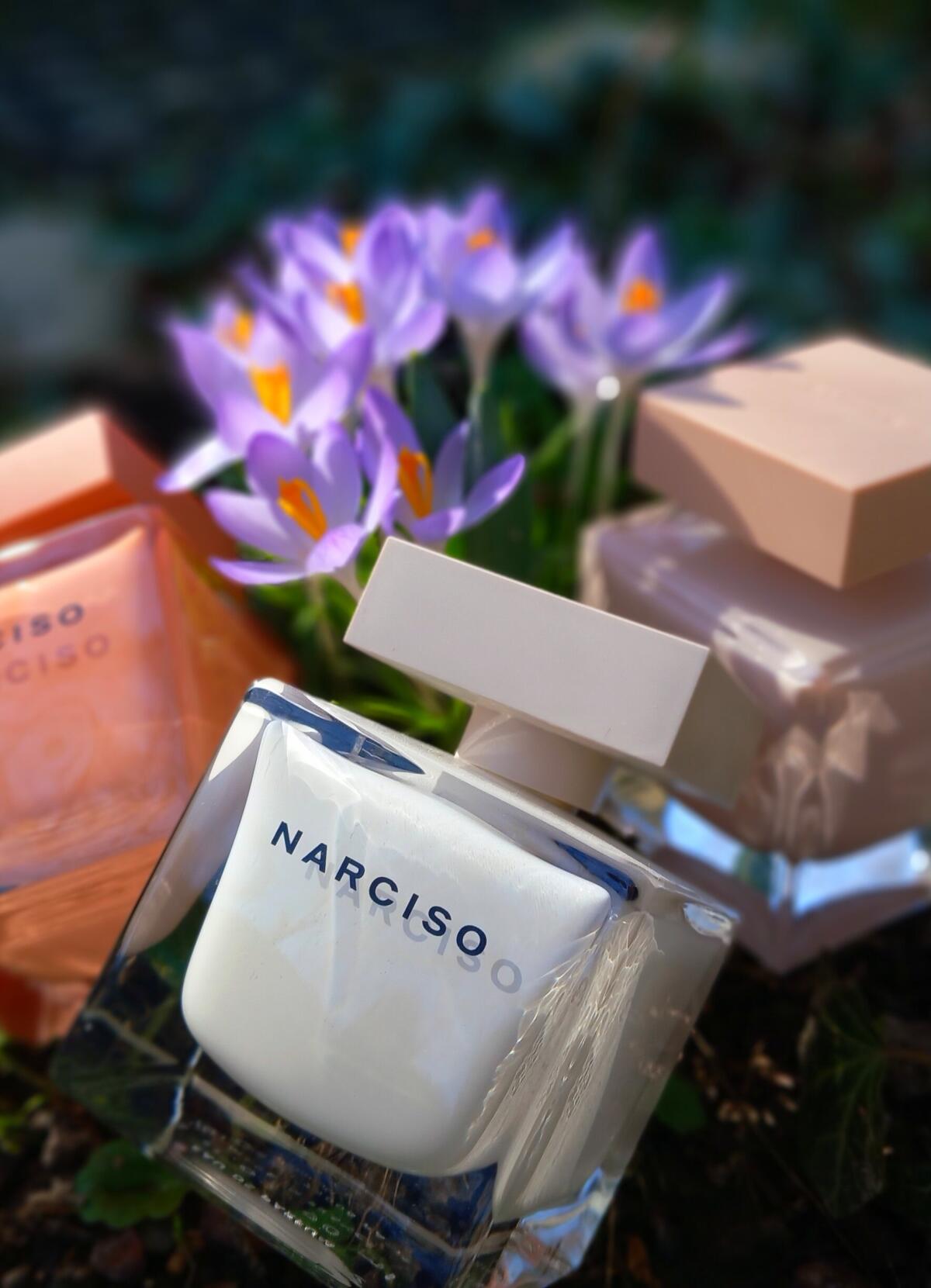 عطر ادکلن نارسیسو نارسیسو رودریگز - Narciso Narciso Rodriguez - بررسی، قیمت و خرید