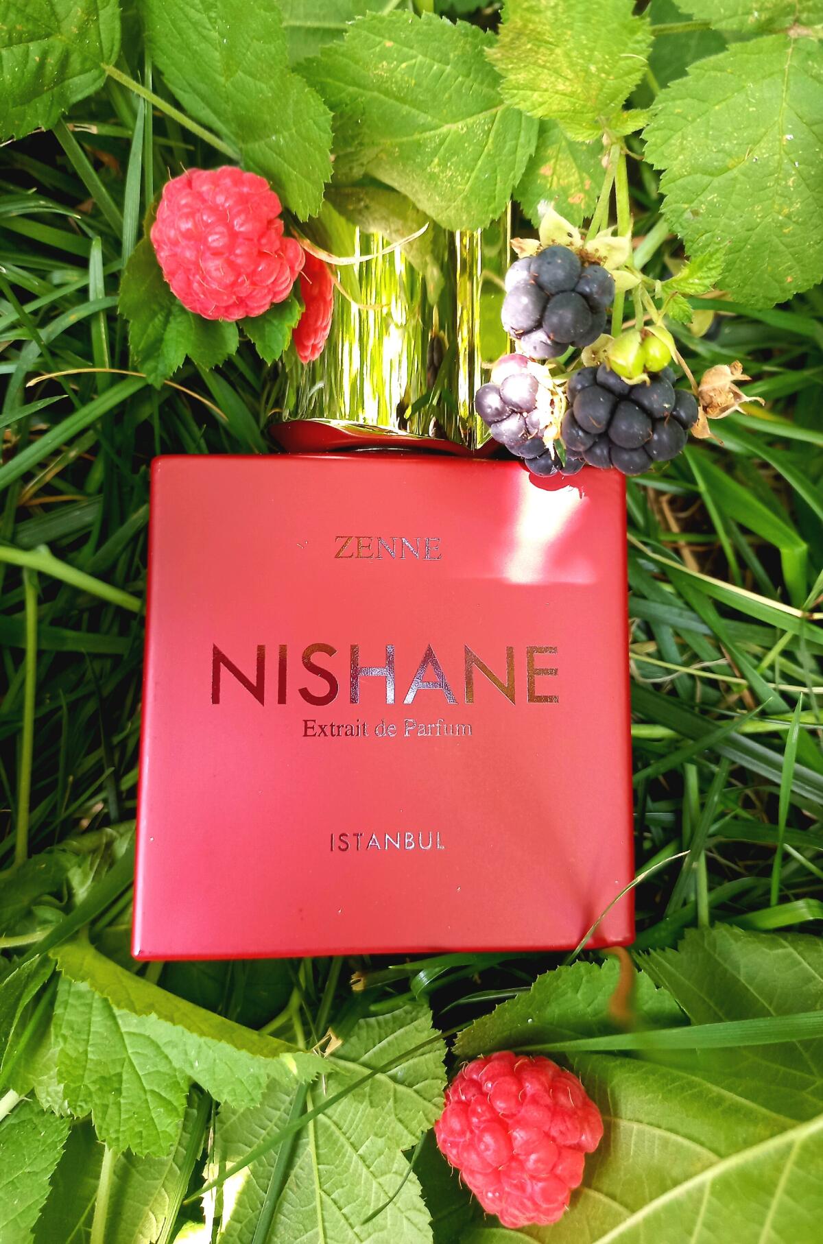 عطر ادکلن زن نیشانه - Zenne Nishane - بررسی، قیمت و خرید