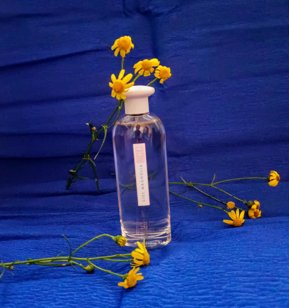 عطر ادکلن سیل مگنولیا کنزو - Ciel Magnolia Kenzo - بررسی، قیمت و خرید
