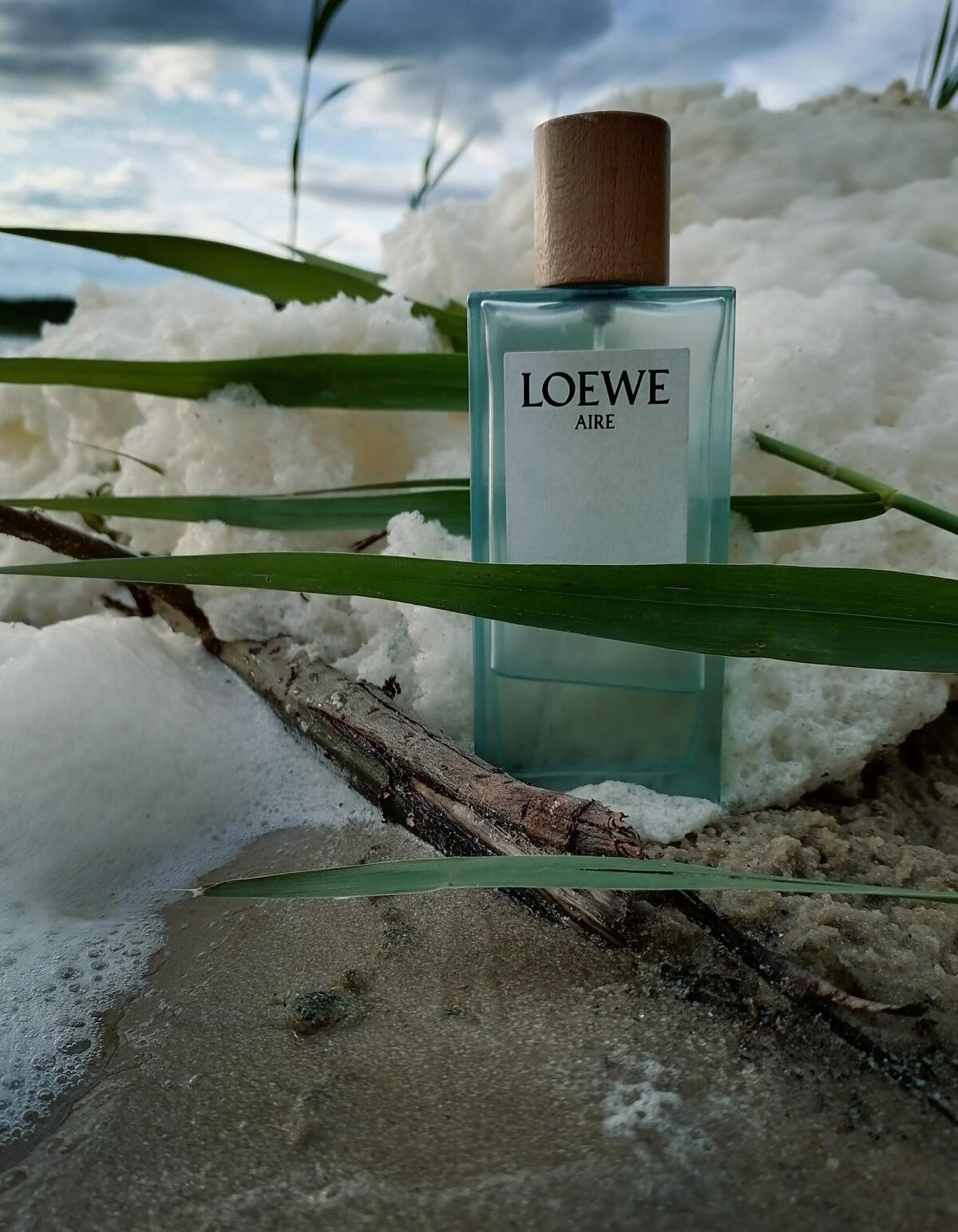 عطر ادکلن ایر آنتسیس لووه - Aire Anthesis Loewe - بررسی، قیمت و خرید