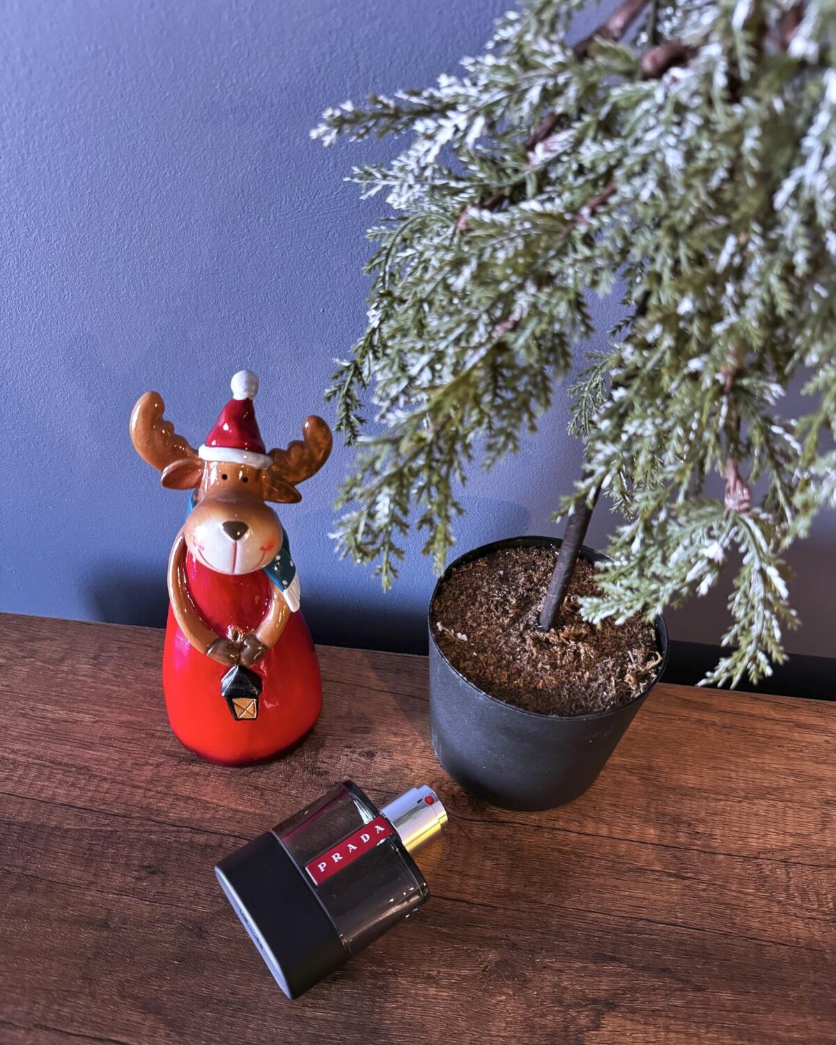 عطر ادکلن لونا روسا کربن پرادا - Luna Rossa Carbon Prada - بررسی، قیمت و خرید