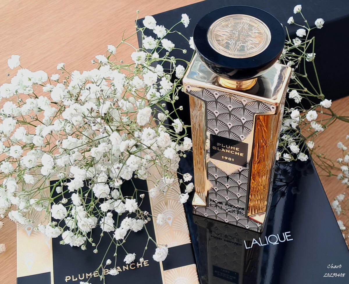عطر ادکلن پلوم بلانچ هزار و نهصد و یک لالیک - Plume Blanche 1901 Lalique - بررسی، قیمت و خرید