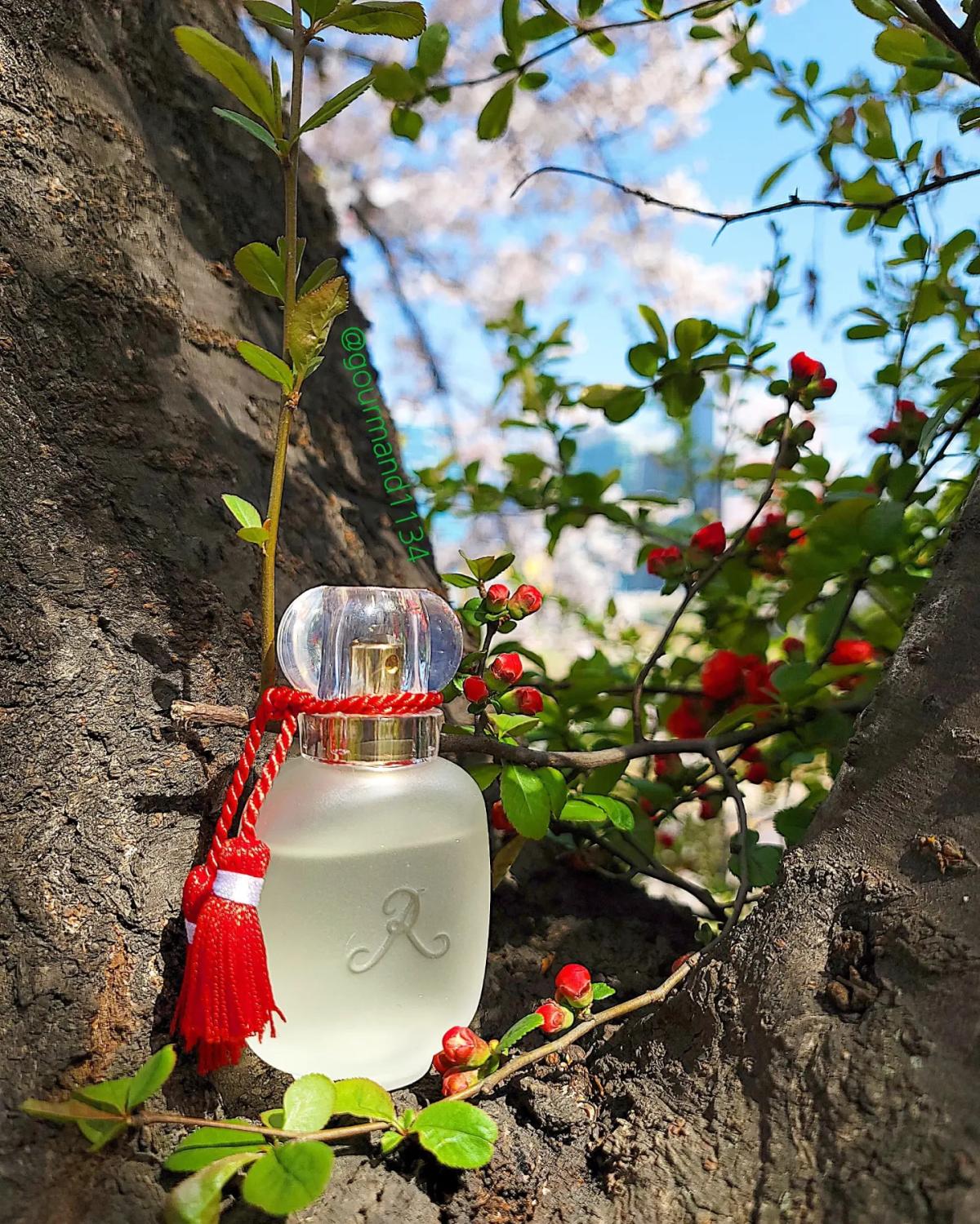 عطر ادکلن ‎روز گریوت لز پغفم دو غوزین - Rose Griotte Les Parfums de Rosine - بررسی، قیمت و خرید