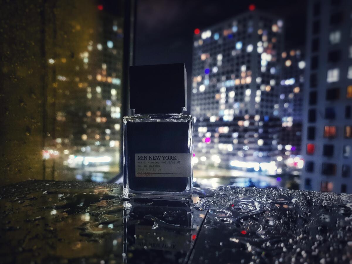 عطر ادکلن پلاش مین نیویورک - PLUSH MiN NEW YORK - بررسی، قیمت و خرید