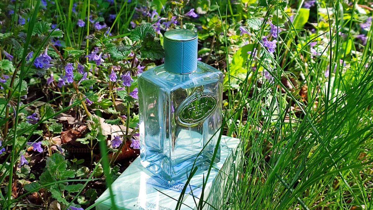 عطر ادکلن اینفیوژن دو آماند پرادا - Infusion d'Amande Prada - بررسی، قیمت و خرید