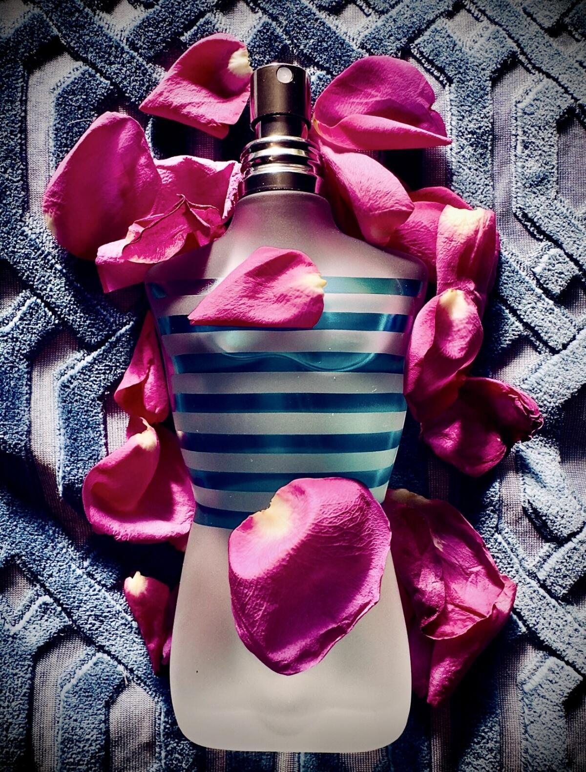 عطر ادکلن لبو مل ژان پل گوتیه - Le Beau Male Jean Paul Gaultier - بررسی، قیمت و خرید