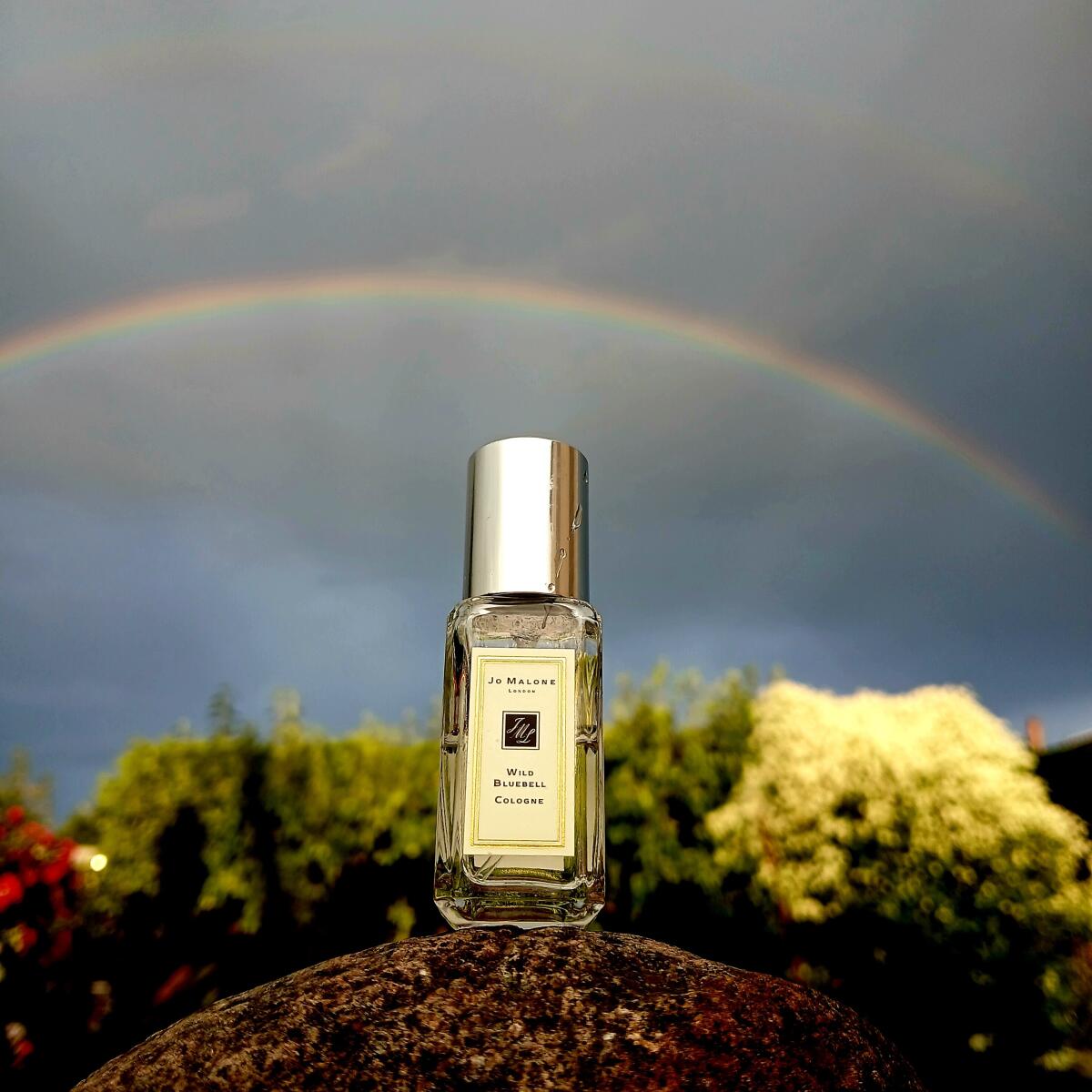 عطر ادکلن وایلد بلوبل جو مالون لاندن - Wild Bluebell Jo Malone London - بررسی، قیمت و خرید