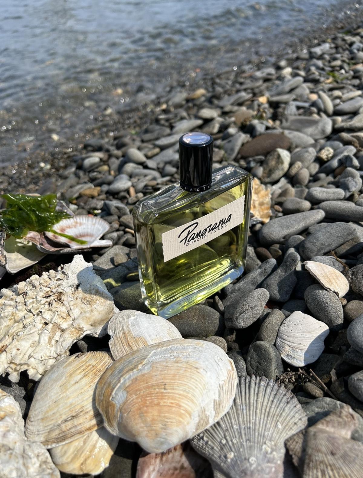 عطر ادکلن پانوراما اولفکتیو استودیو - Panorama Olfactive Studio - بررسی، قیمت و خرید