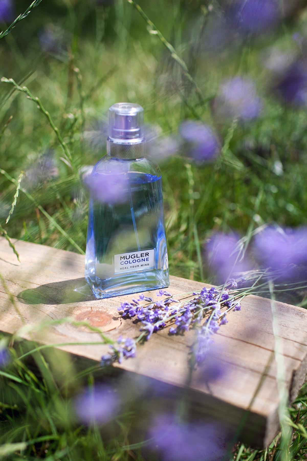 عطر ادکلن هیل یور مایند موگلر - Heal Your Mind Mugler - بررسی، قیمت و خرید