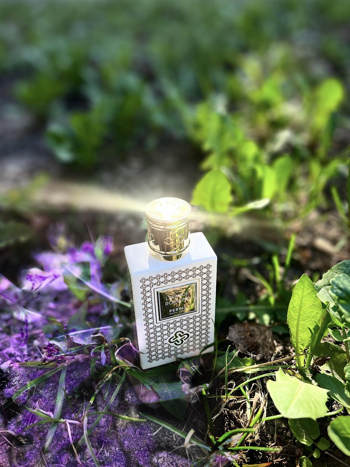 عطر ادکلن لاواند رومان پری مونته کارلو - Lavande Romaine Perris Monte Carlo - بررسی، قیمت و خرید