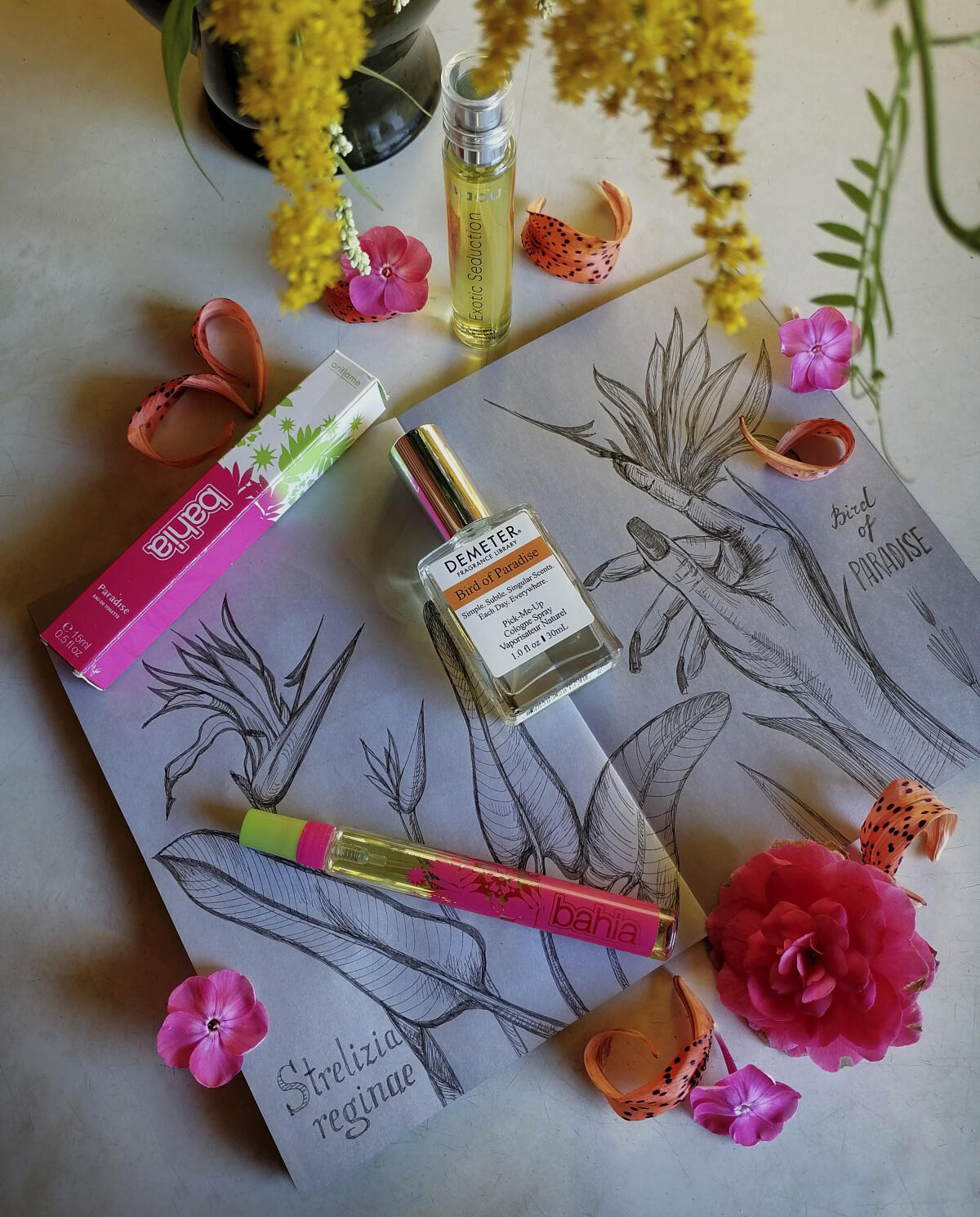عطر ادکلن باهییا پاردایس اُریف‌لِیم - Bahia Paradise Oriflame - بررسی، قیمت و خرید